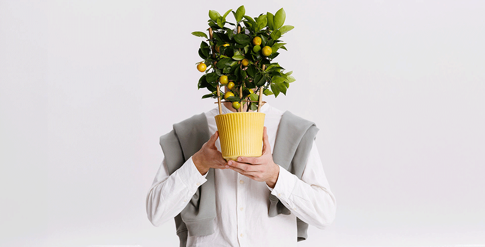 Комбо від Flowerpot