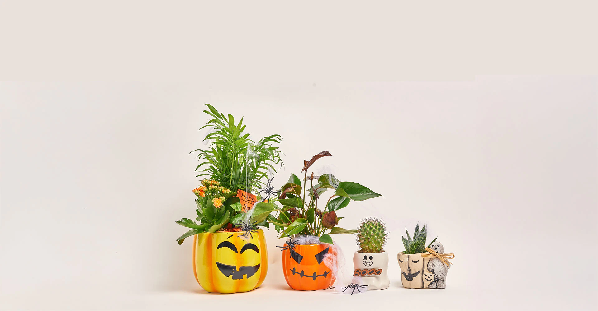 Створюй настрій разом з Flowerpot!