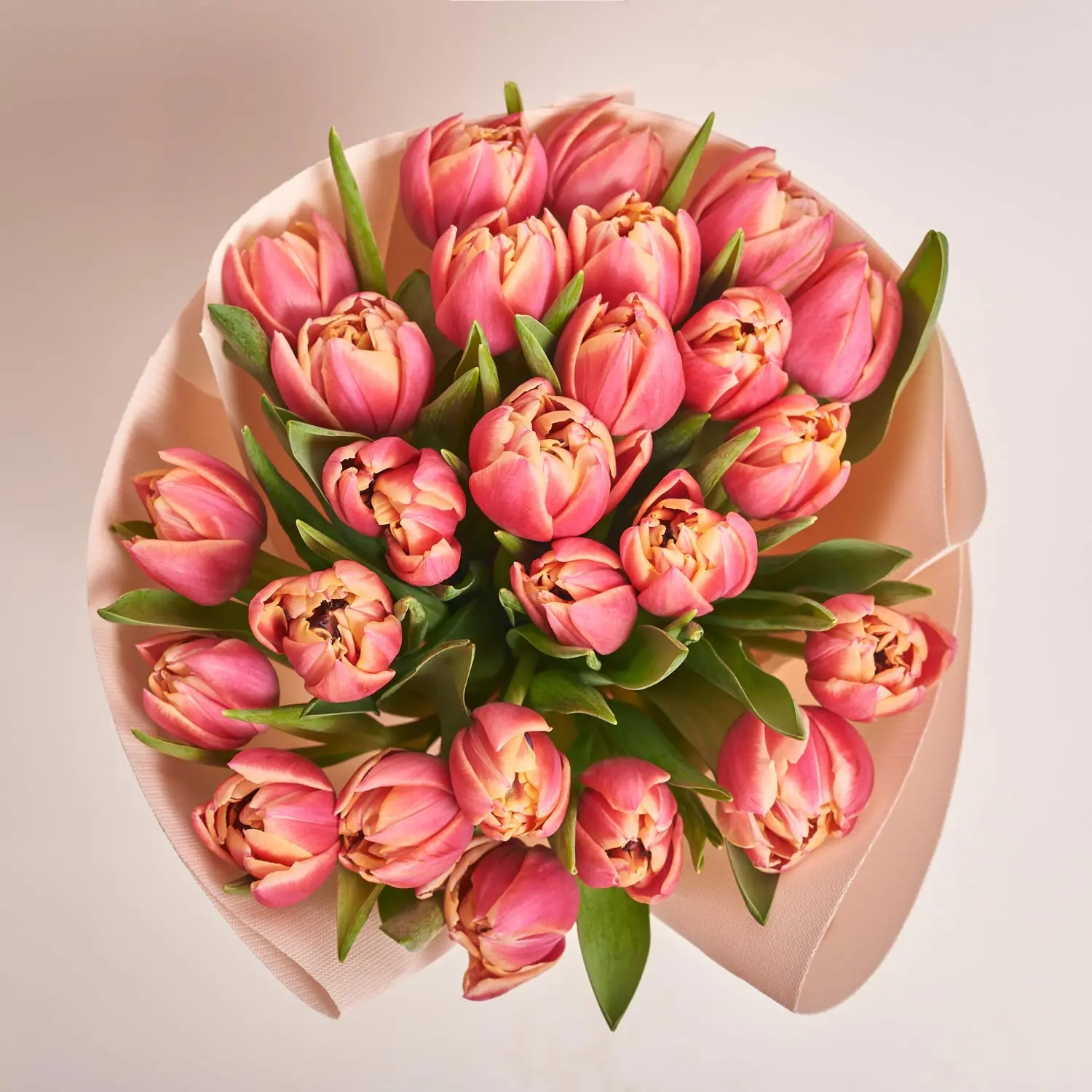 Зображення товару Букет 25 Рожевих Піоновидних Тюльпанів F672, артикул: 35741