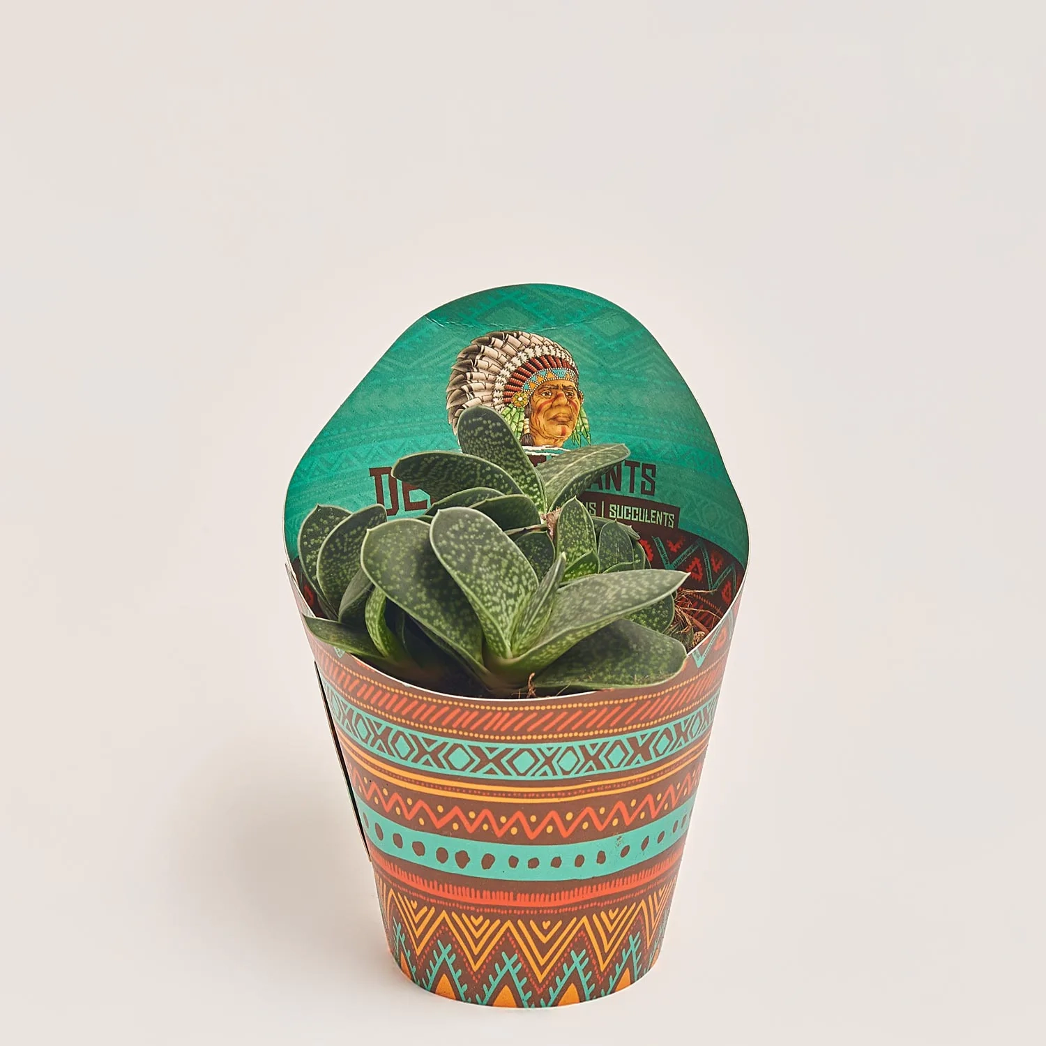 Зображення товару Алоє мікс, артикул: 46262