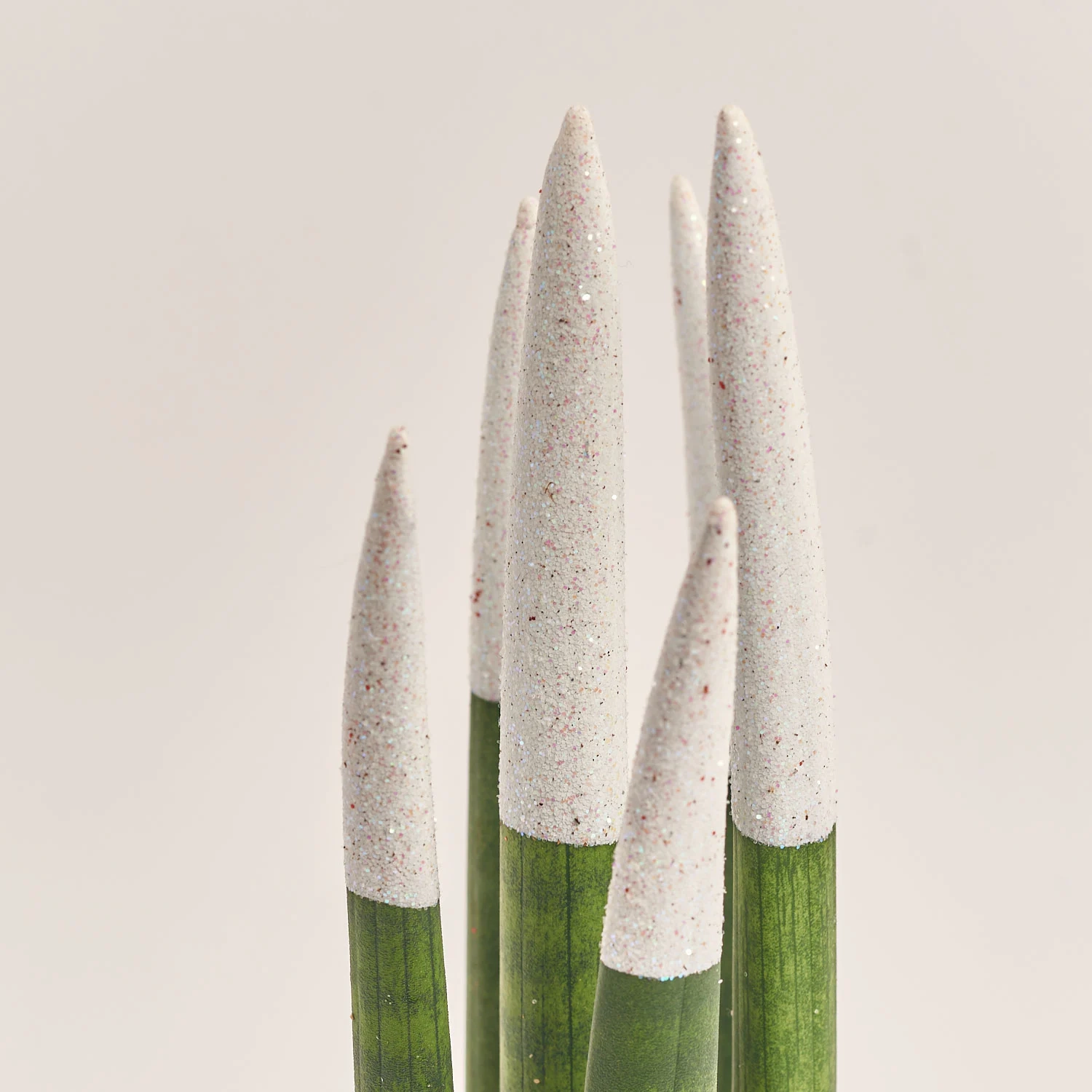 Зображення товару Сансевієрія Циліндріка гліттер в кер., артикул: 10110