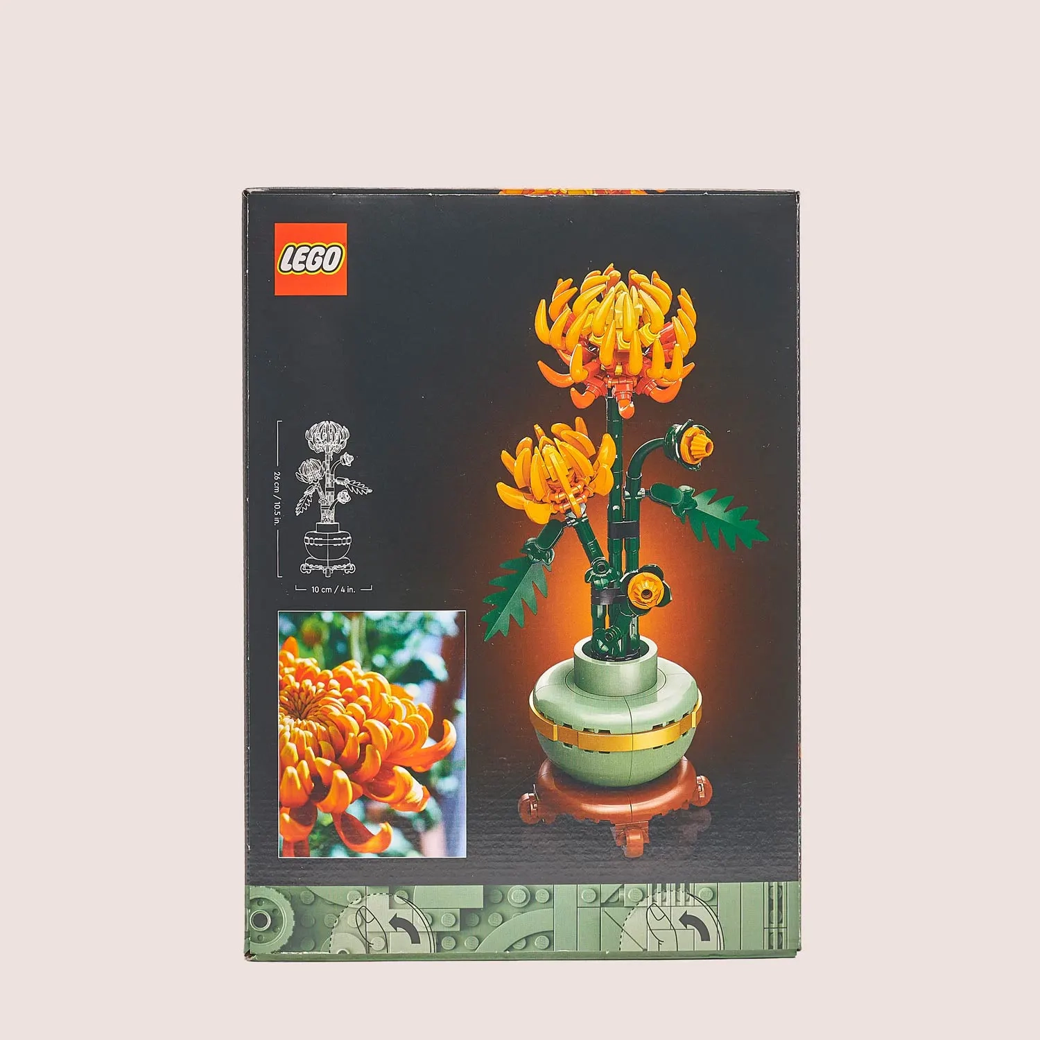 Зображення товару Конструктор LEGO Icons Botanicals Хризантема, артикул: 54637