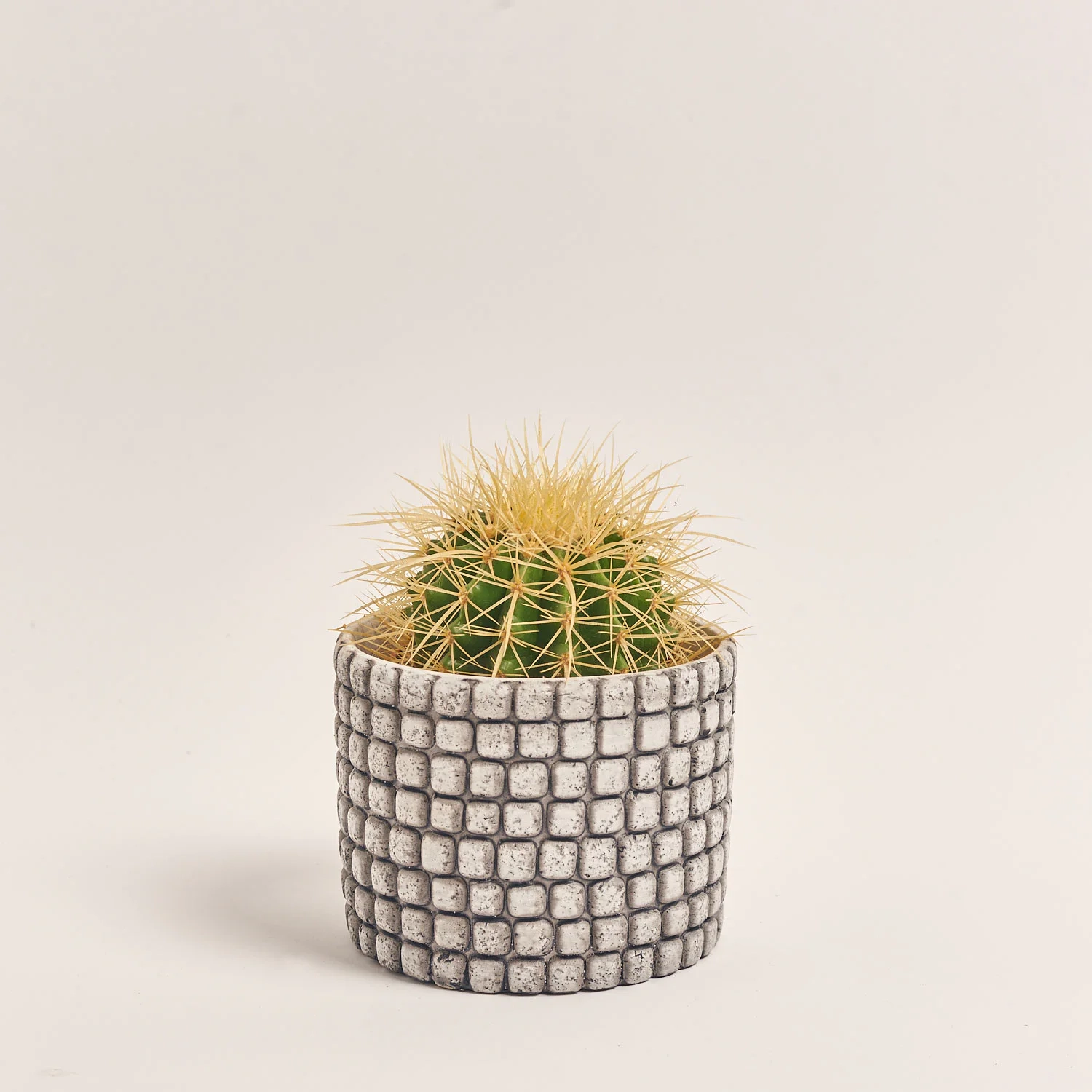 Зображення товару Кактус мікс в кер., артикул: 56882