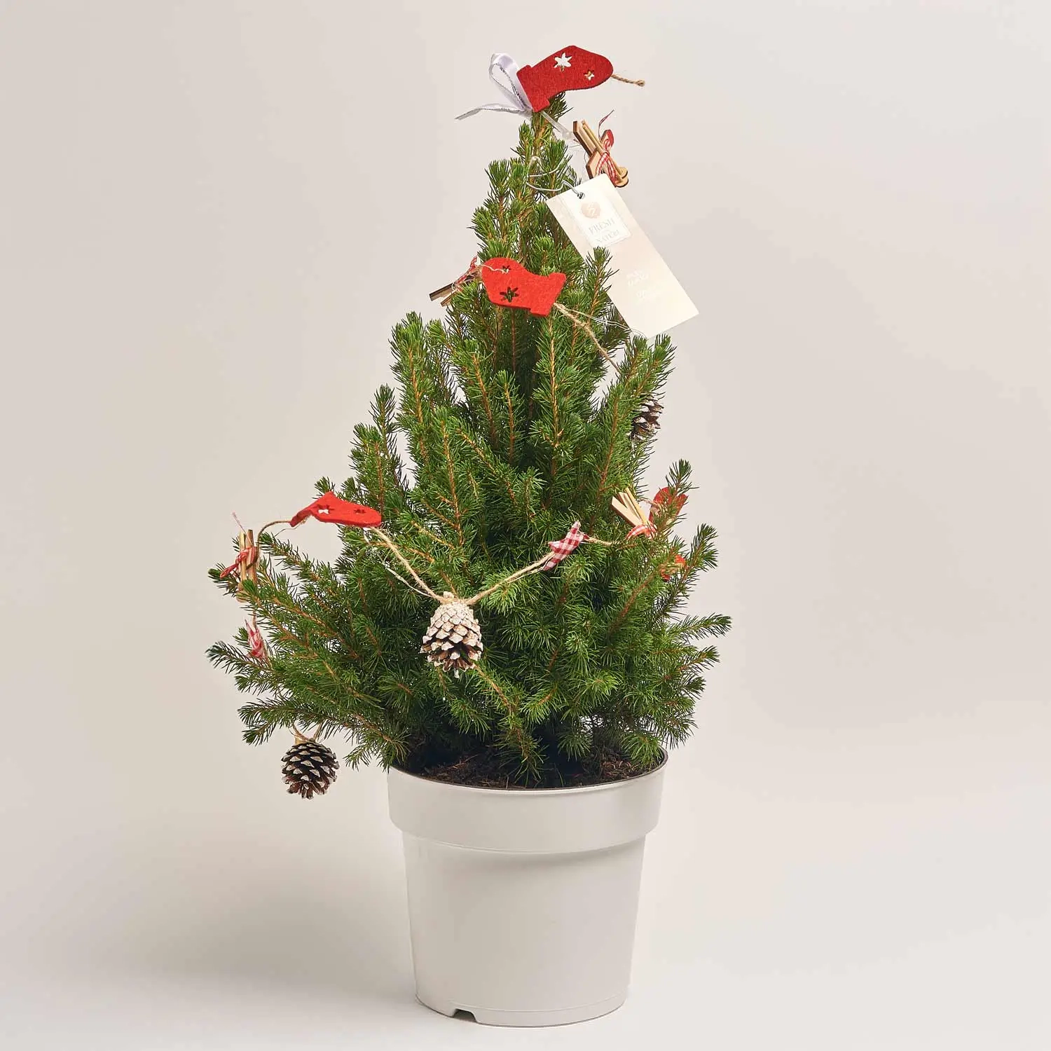 Зображення товару Ялина Десембер декор, артикул: 54057
