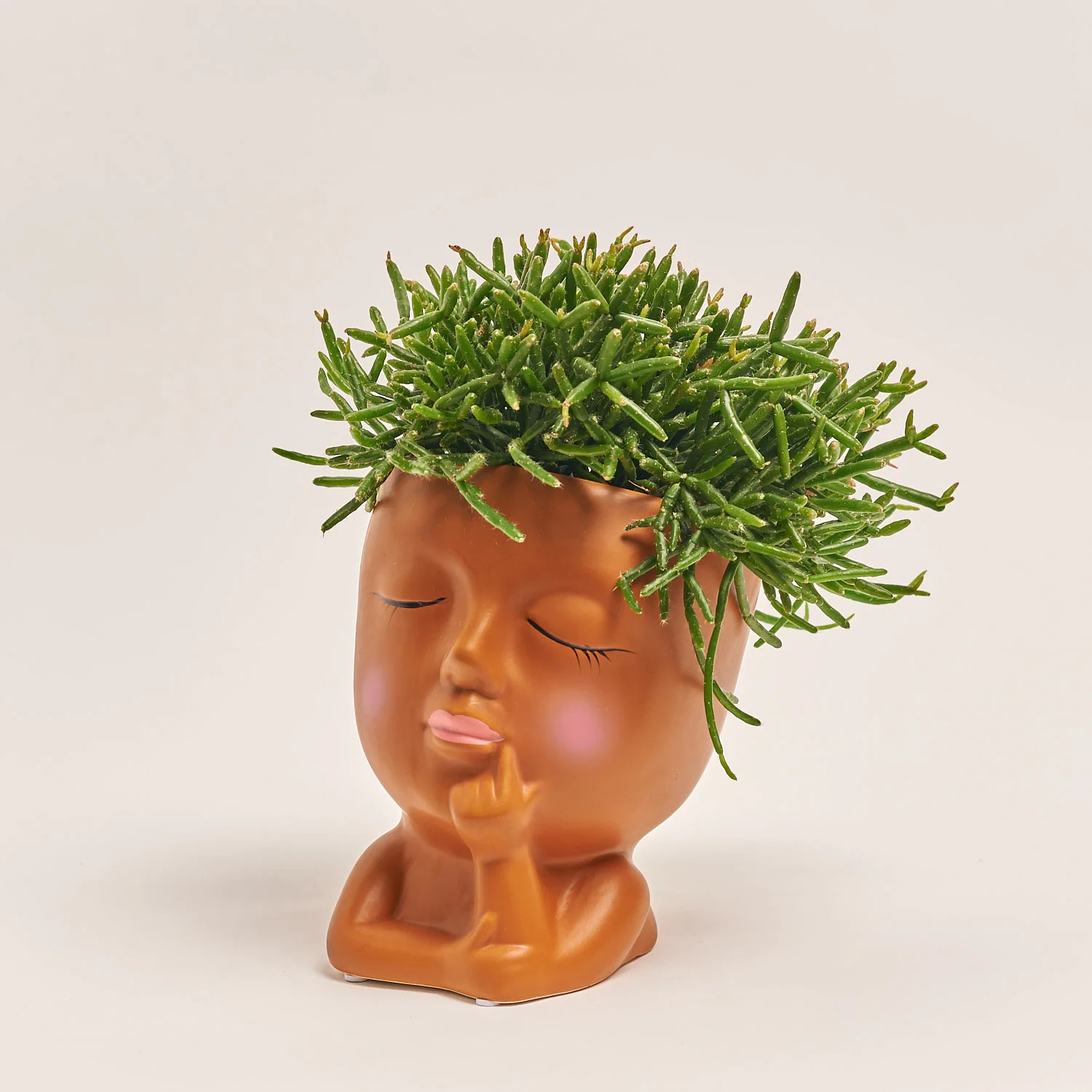 Зображення товару Рипсаліс мікс "Фейс", артикул: 55301