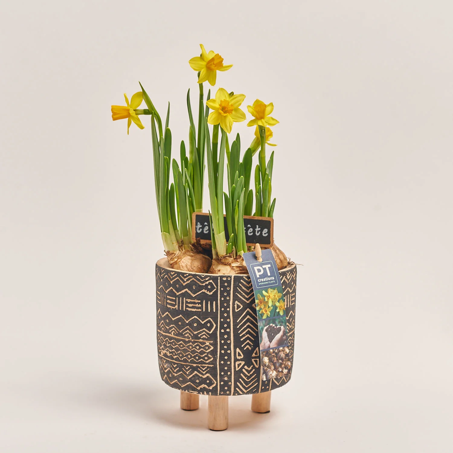 Зображення товару Нарцис Тет-а-Тет в кер., артикул: 55514