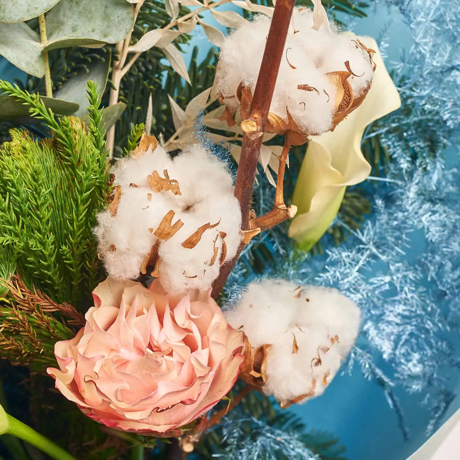 Комбо з книгою 403, артикул: 54471 Зображення товару Комбо з книгою 403, артикул: 54471