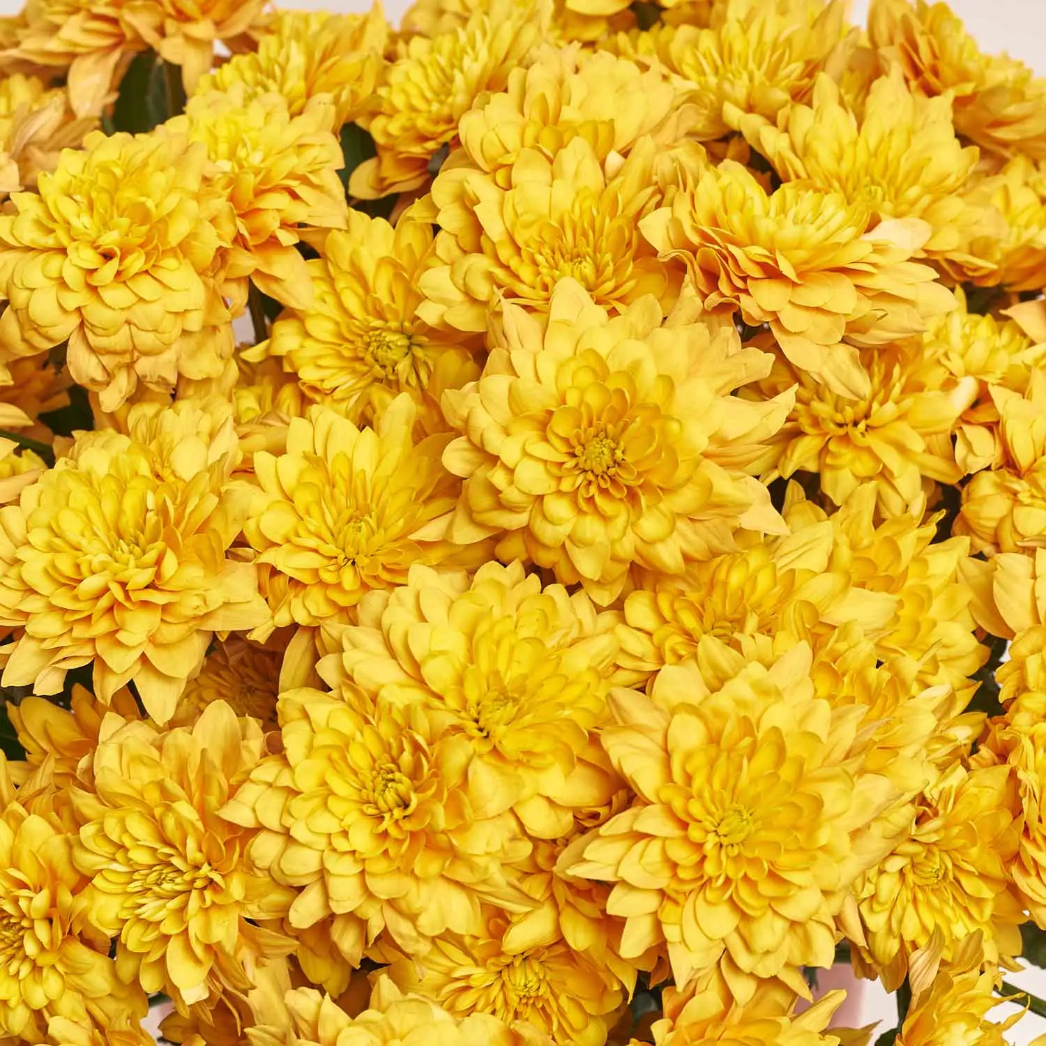 Зображення товару Композиція D3030, артикул: 54825