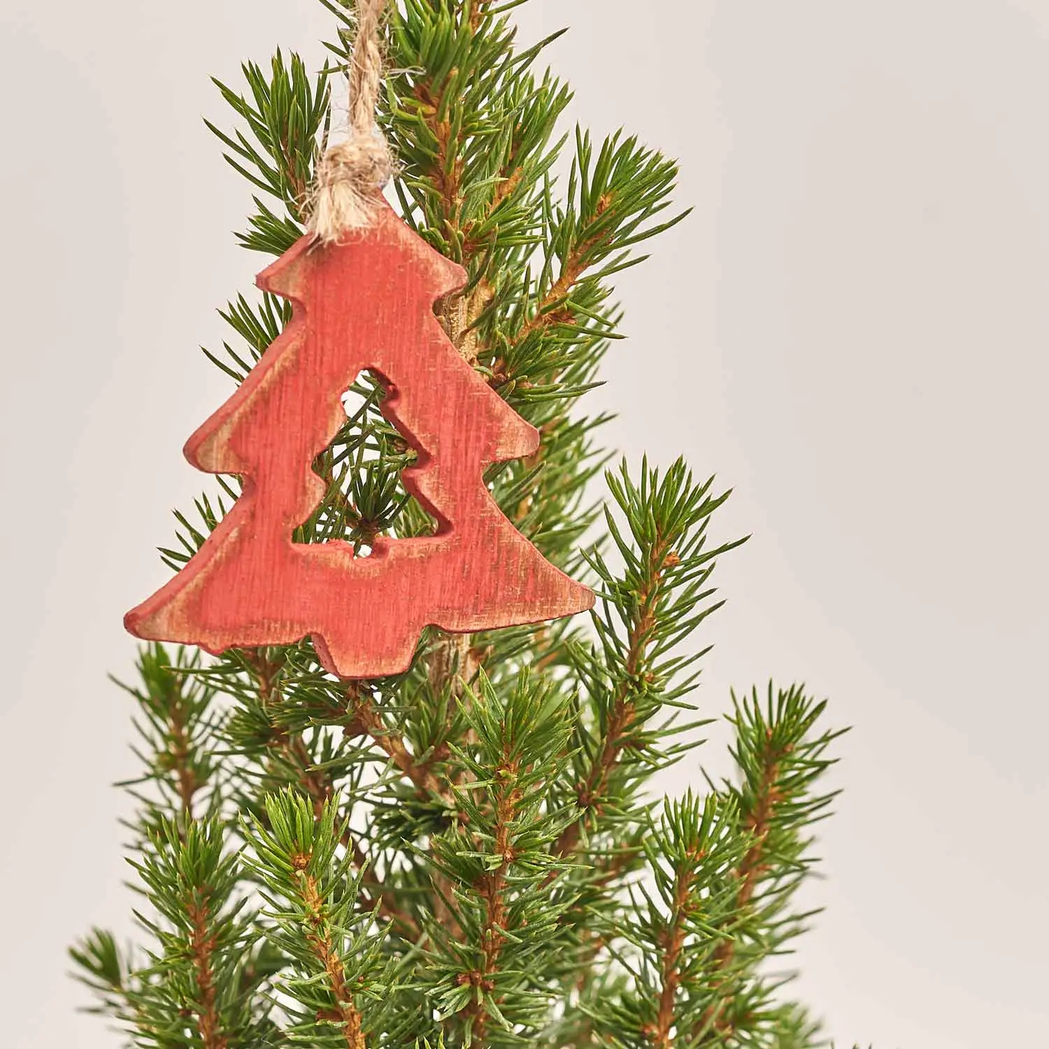 Ялина Перфекта декор у мішку, артикул: 54322 Зображення товару Ялина Перфекта декор у мішку, артикул: 54322