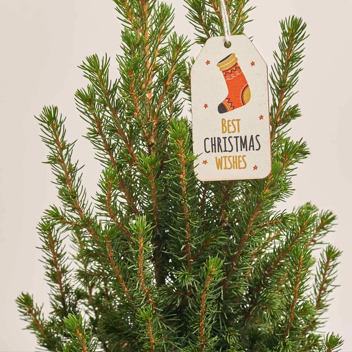 Зображення товару Ялина Перфекта Декор, артикул: 54119