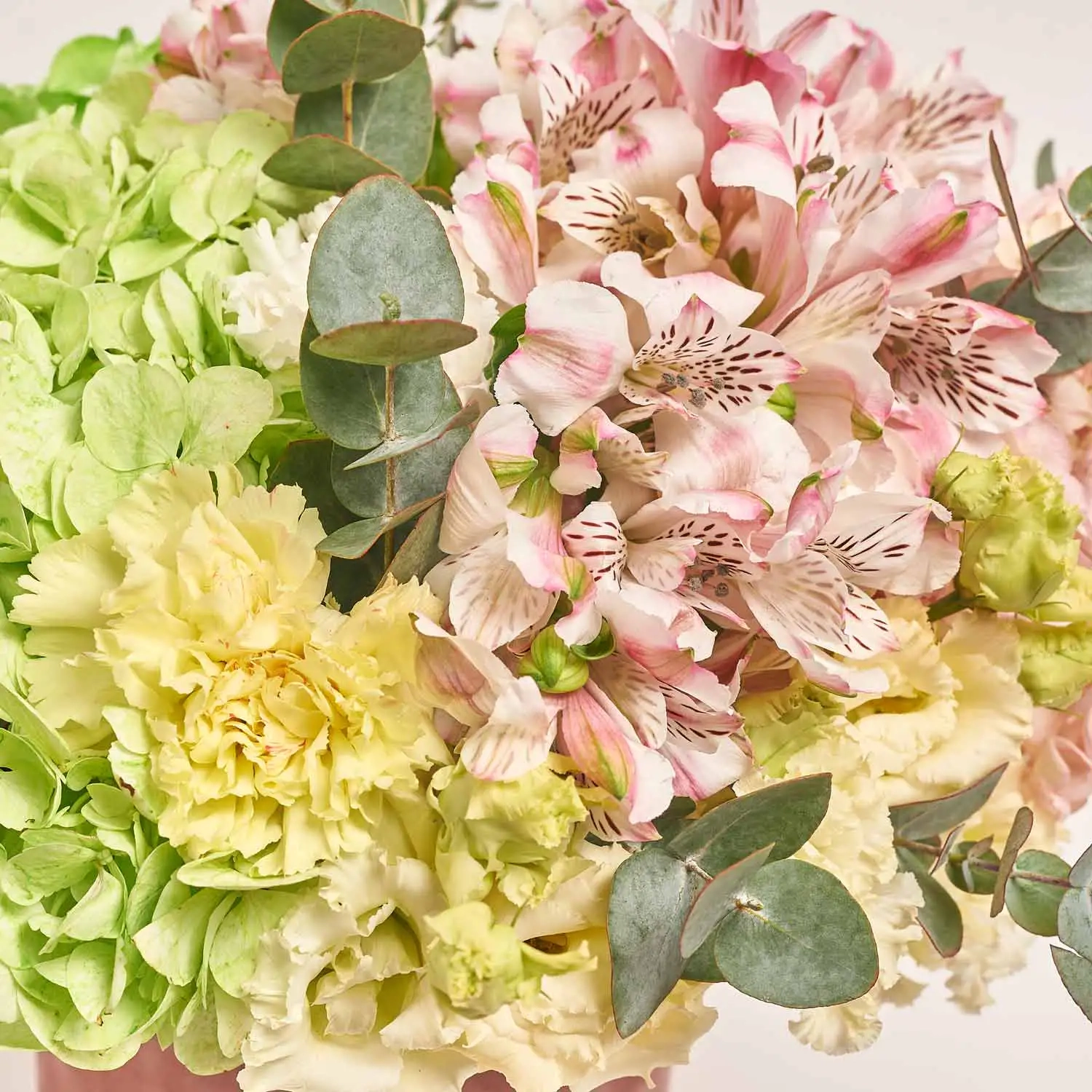 Композиція D3023, артикул: 54529 Зображення товару Композиція D3023, артикул: 54529