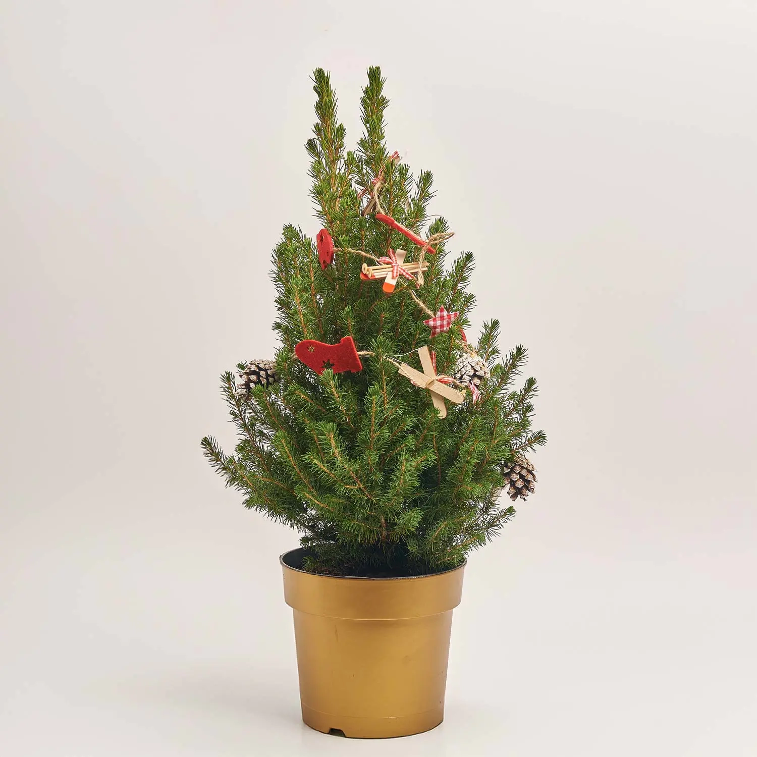 Зображення товару Ялина Десембер декор, артикул: 54057