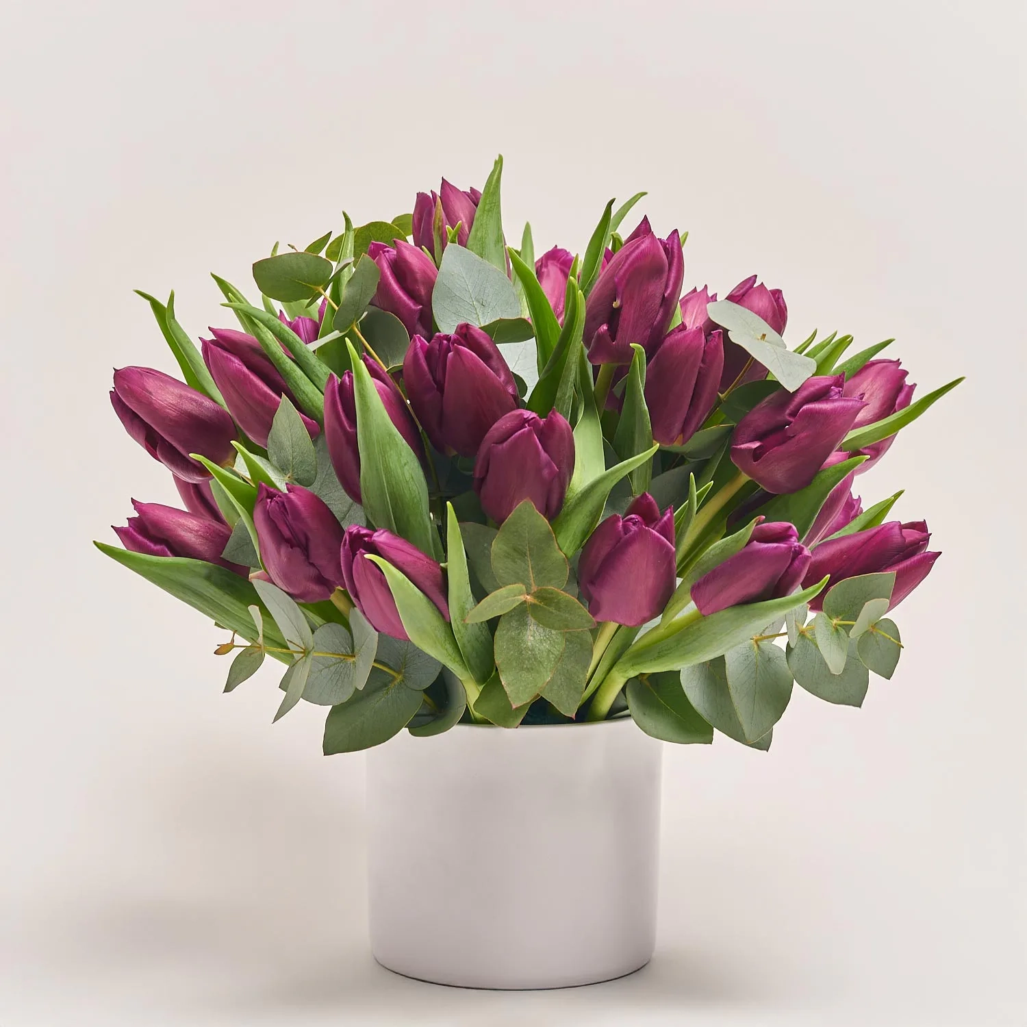 Композиція з фіолетових тюльпанів у кашпо F111, артикул: 55744 Зображення товару Композиція з фіолетових тюльпанів у кашпо F111, артикул: 55744