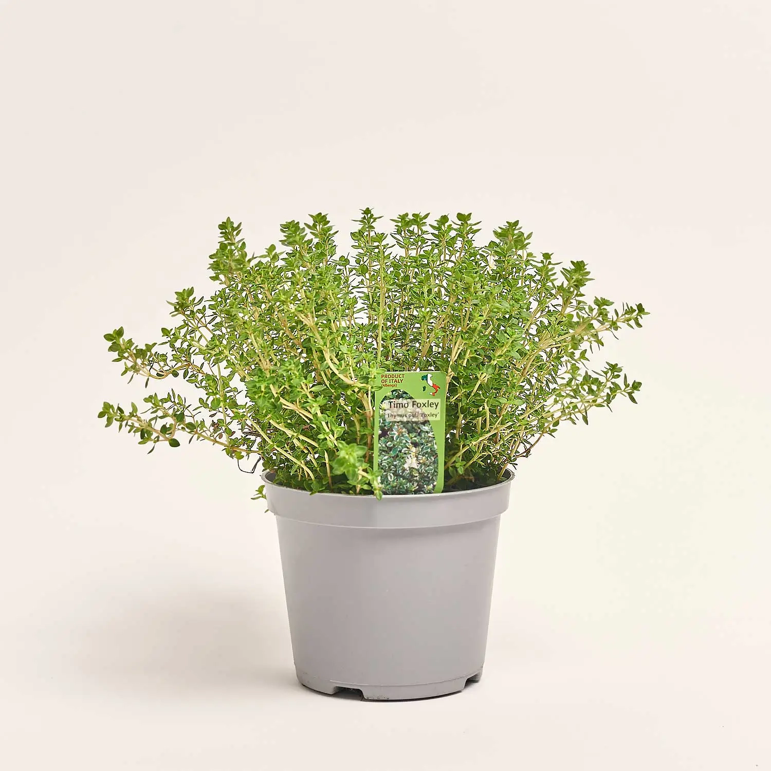 Зображення товару Мікс пряних трав, артикул: 36076