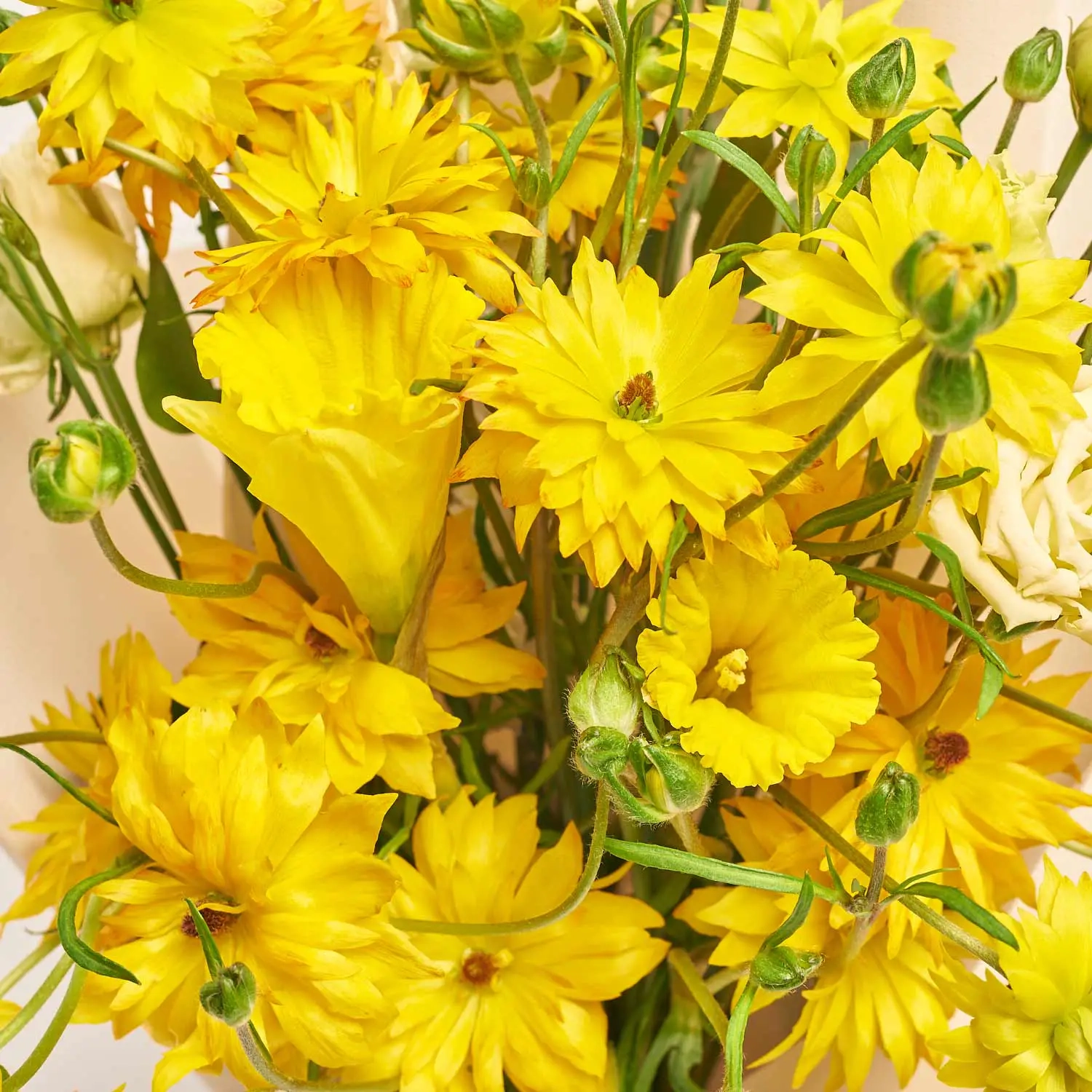 Букет D3367, артикул: 57102 Зображення товару Букет D3367, артикул: 57102