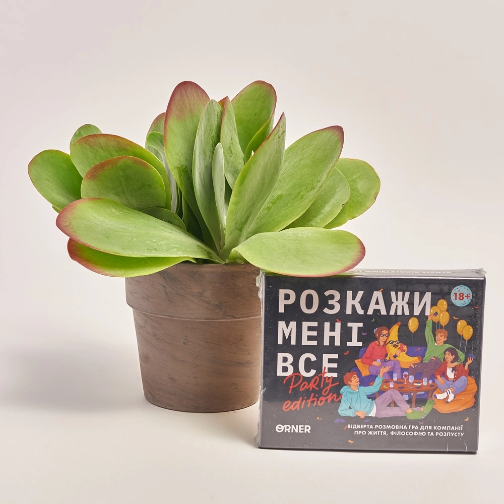 Зображення товару Комбо Party edition, артикул: 42555