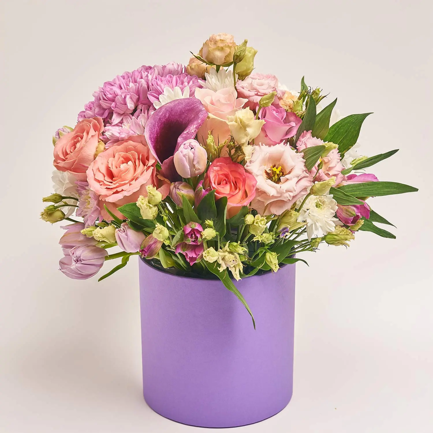 Композиція D6006, артикул: 53186 Зображення товару Композиція D6006, артикул: 53186