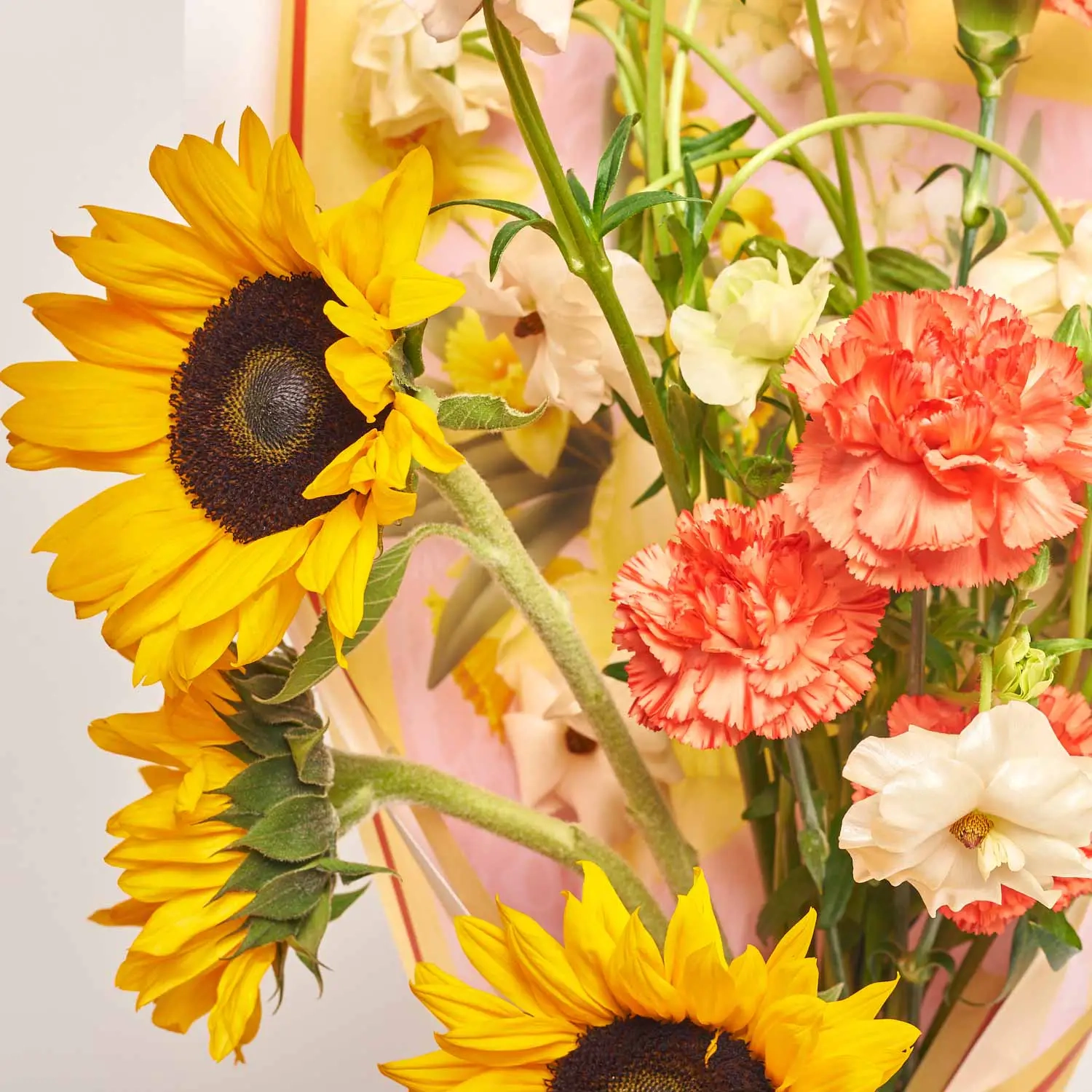 Букет D6056, артикул: 57545 Зображення товару Букет D6056, артикул: 57545