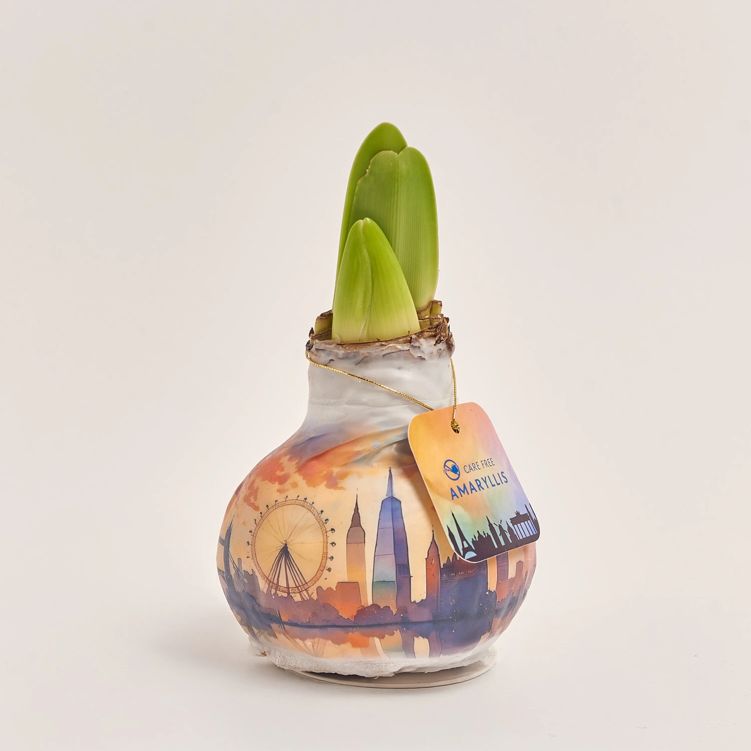 Зображення товару Амариліс принт у воску, артикул: 54367