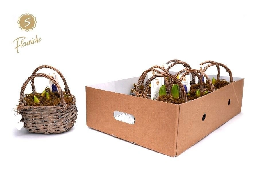 Гіацинт мікс у плет. кошику, артикул: 55889 Зображення товару Гіацинт мікс у плет. кошику, артикул: 55889