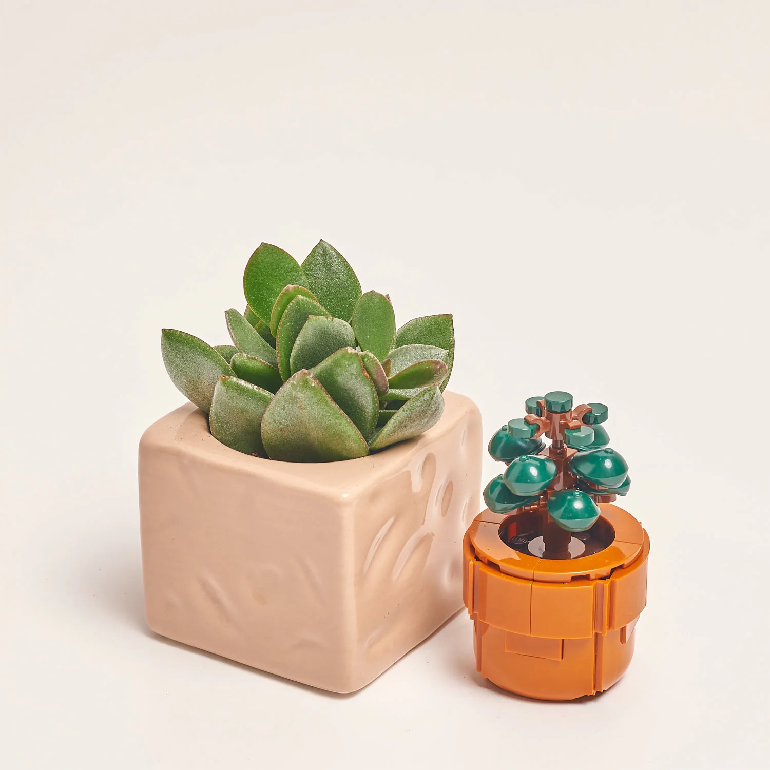 Зображення товару Сет LEGO та Сукулент у кашпо, артикул: 57044