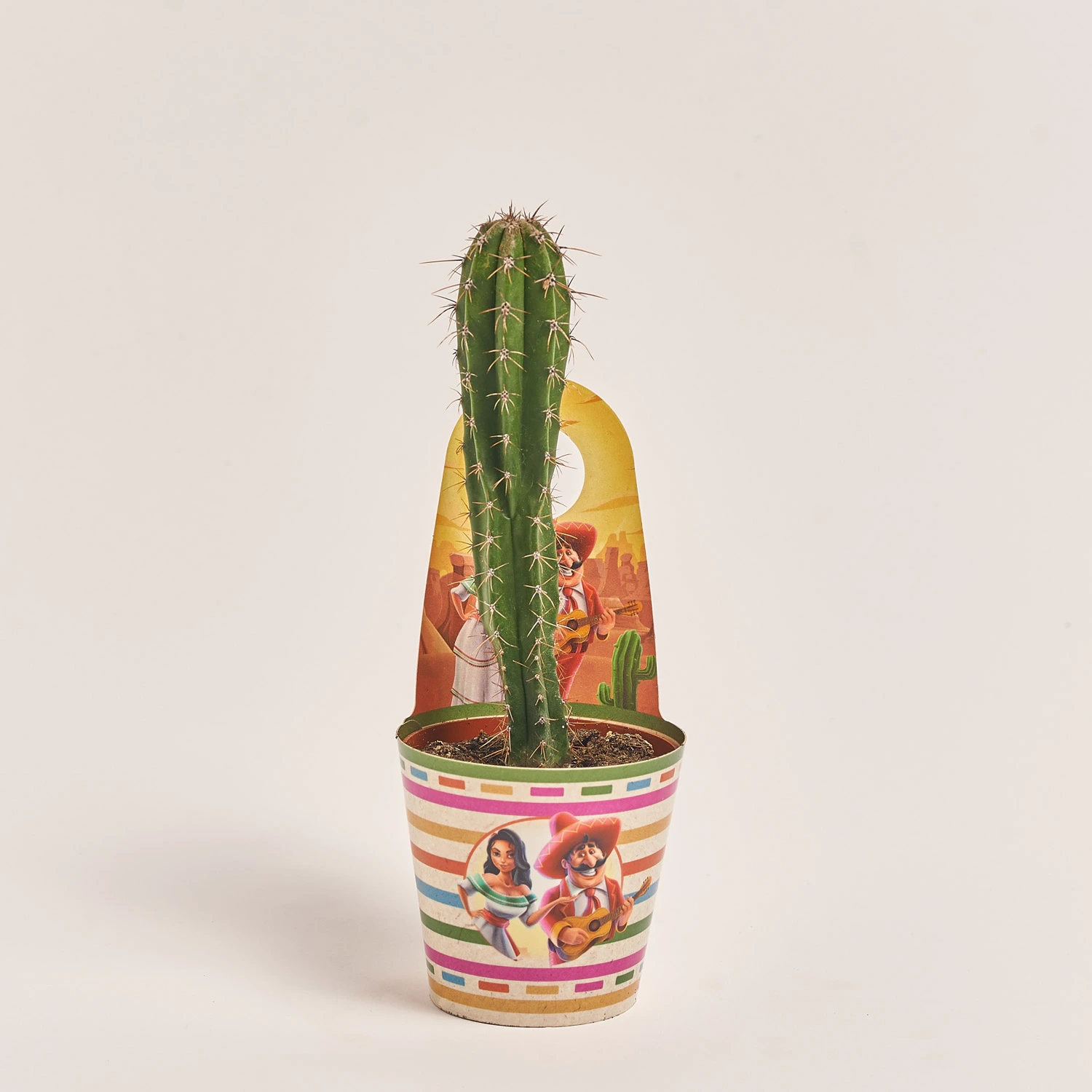 Зображення товару Кактус мікс, артикул: 48444