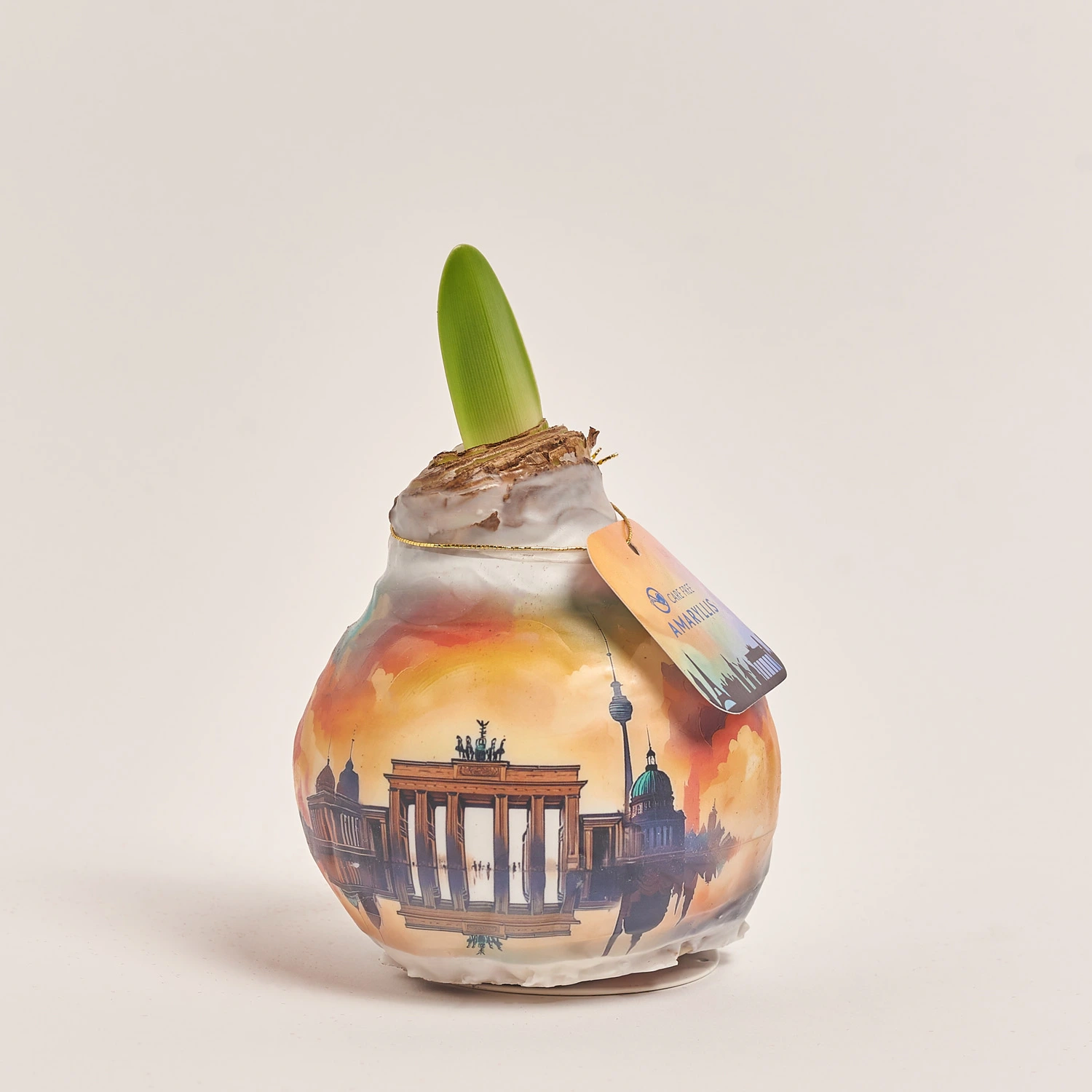 Зображення товару Амариліс принт у воску, артикул: 54367