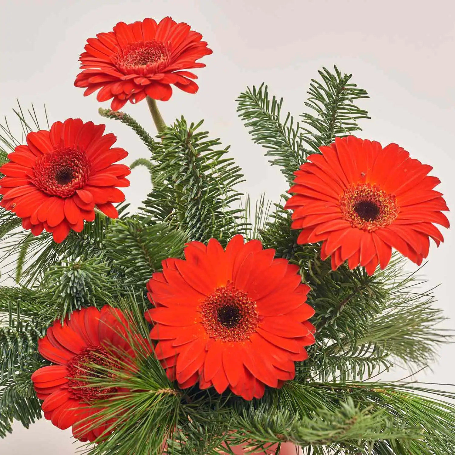 Композиція D3024, артикул: 54540 Зображення товару Композиція D3024, артикул: 54540