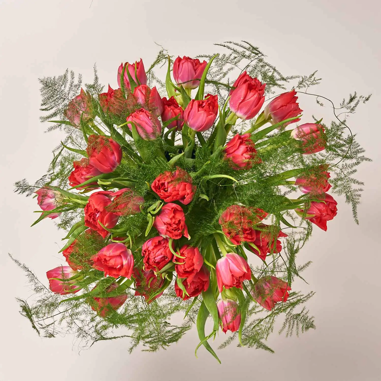 Композиція з червоних піоновидних тюльпанів у кашпо F112, артикул: 55745 Зображення товару Композиція з червоних піоновидних тюльпанів у кашпо F112, артикул: 55745