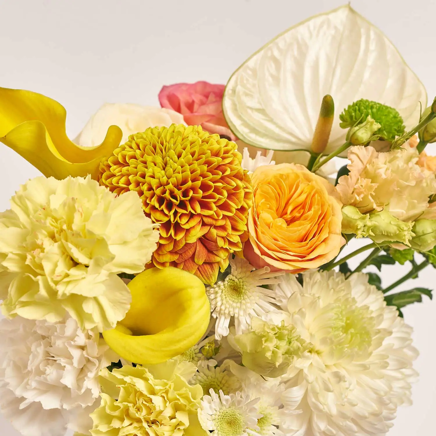 Композиція D6007, артикул: 53792 Зображення товару Композиція D6007, артикул: 53792