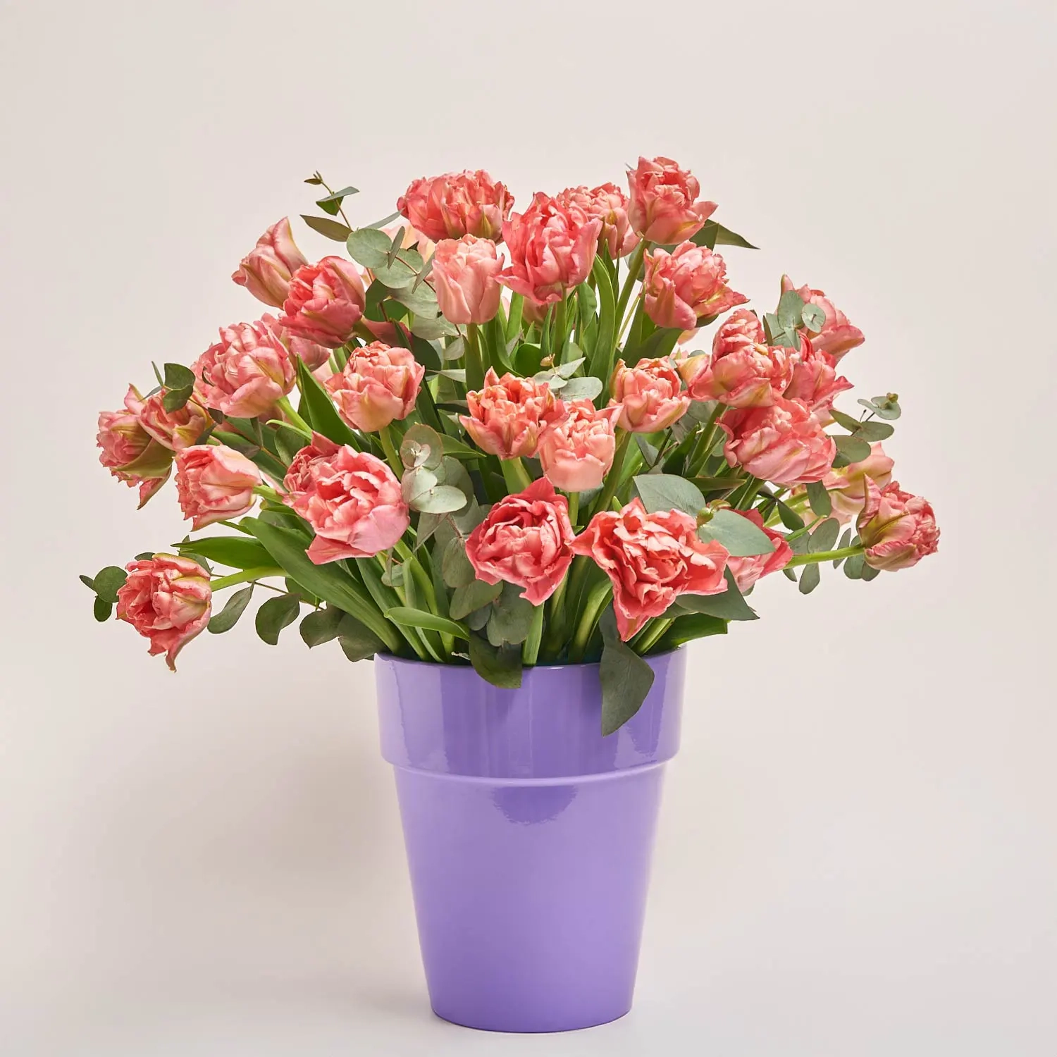 Композиція з рожевих піоновидних тюльпанів у кашпо F114, артикул: 55747 Зображення товару Композиція з рожевих піоновидних тюльпанів у кашпо F114, артикул: 55747