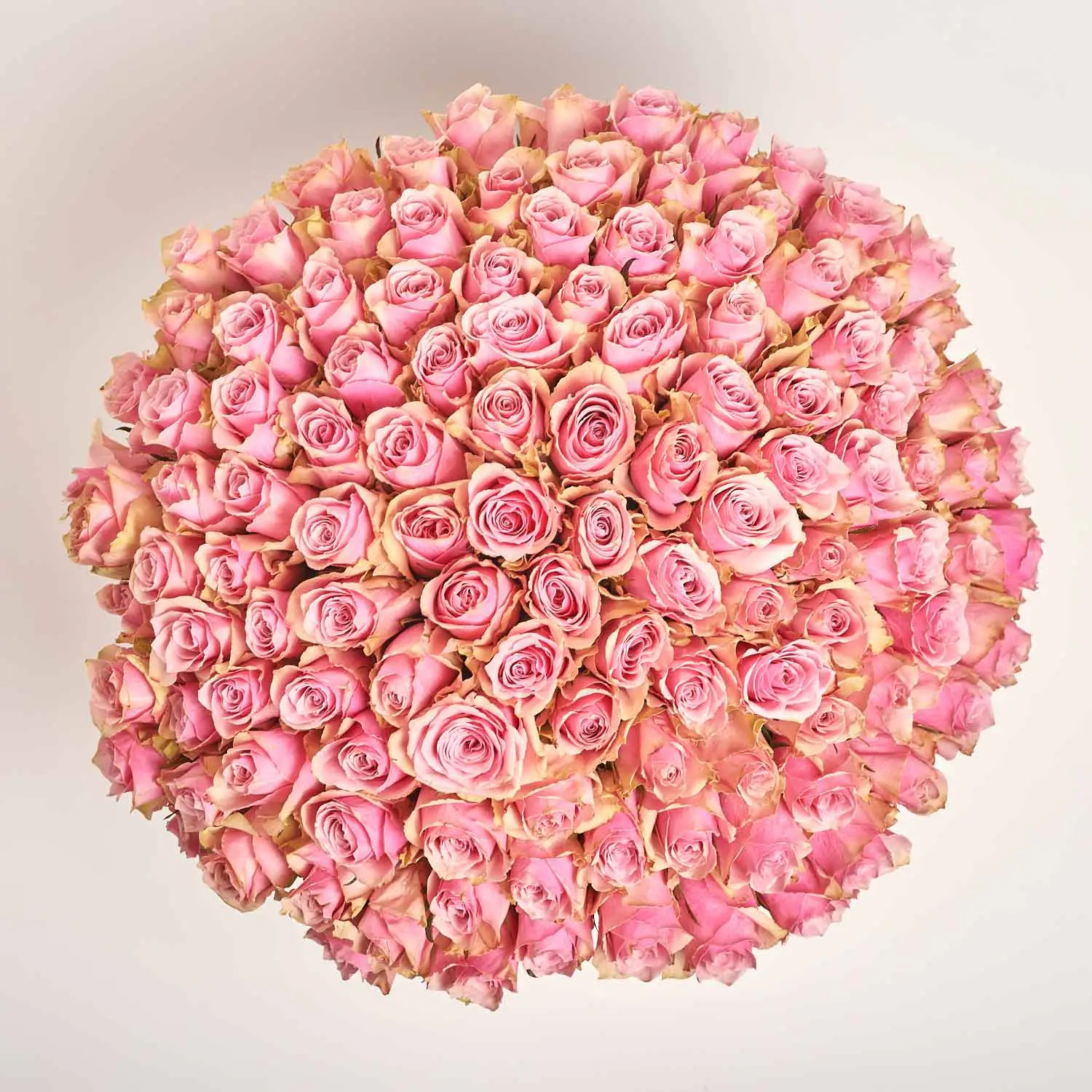 Зображення товару Букет 101 Троянда Антена Роял F917, артикул: 56421