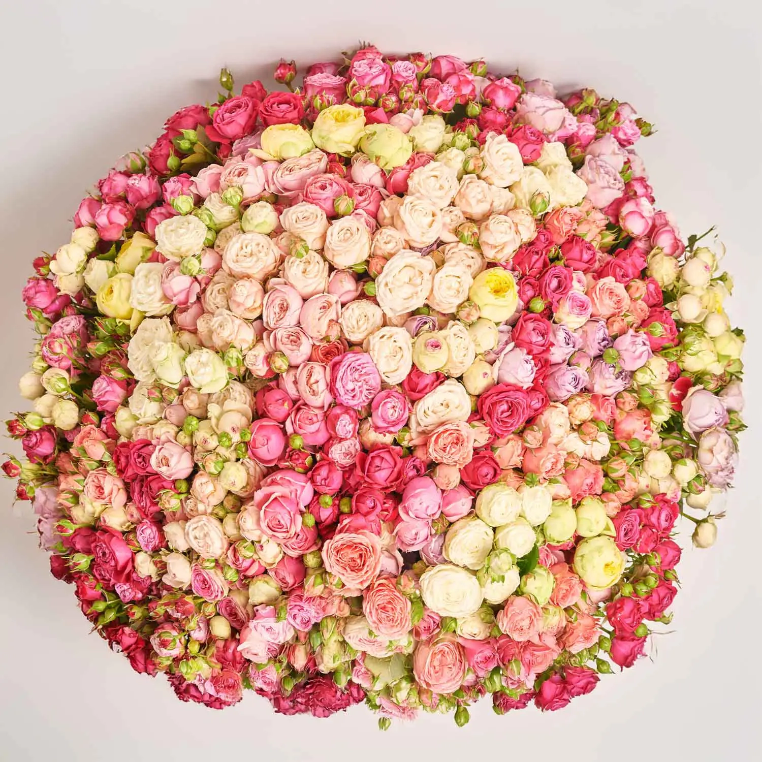 Зображення товару Букет 151 Піоновидна Троянда Спрей Мікс, артикул: 52924