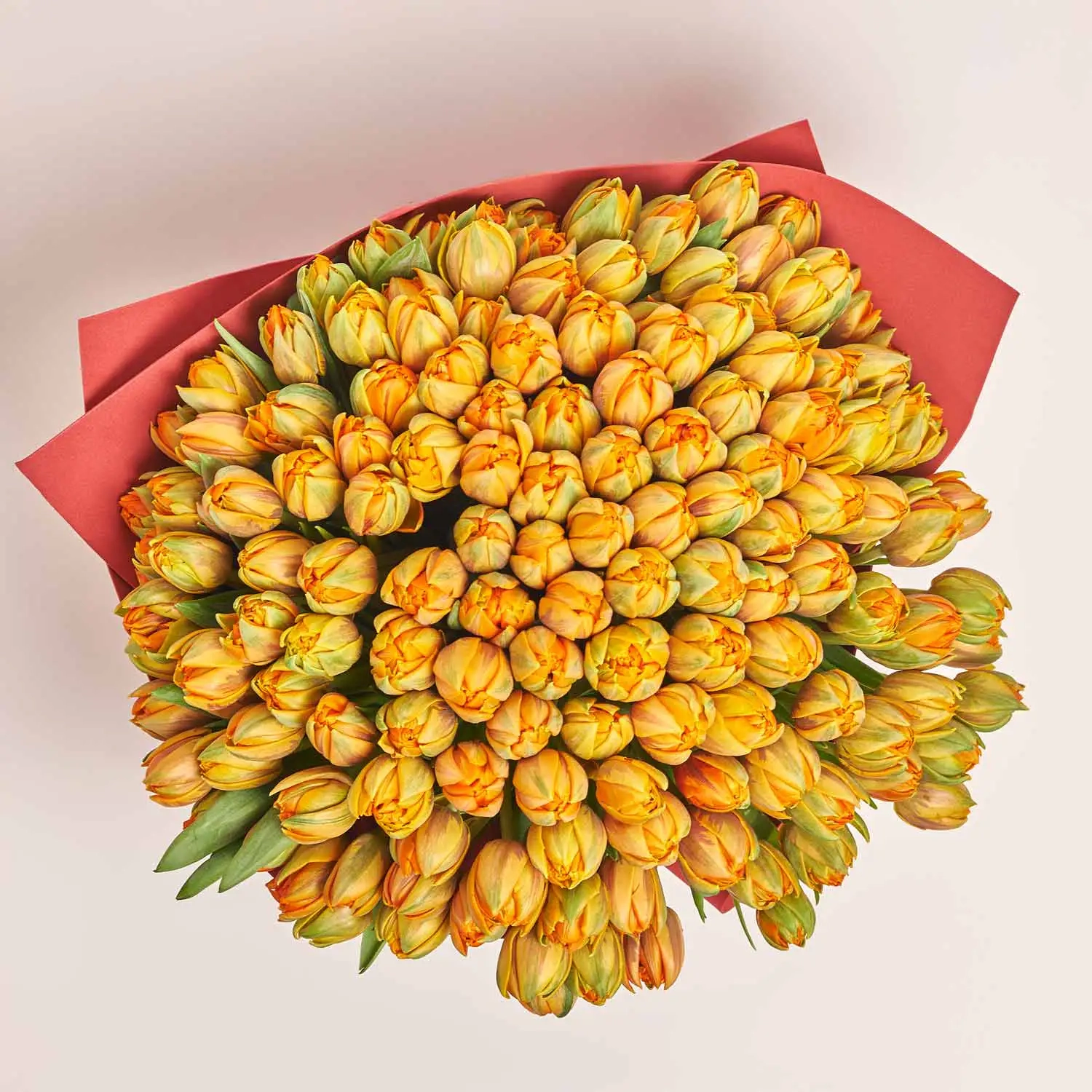 Зображення товару Букет 151 помаранчевий піоновидний Тюльпан F1005, артикул: 54168