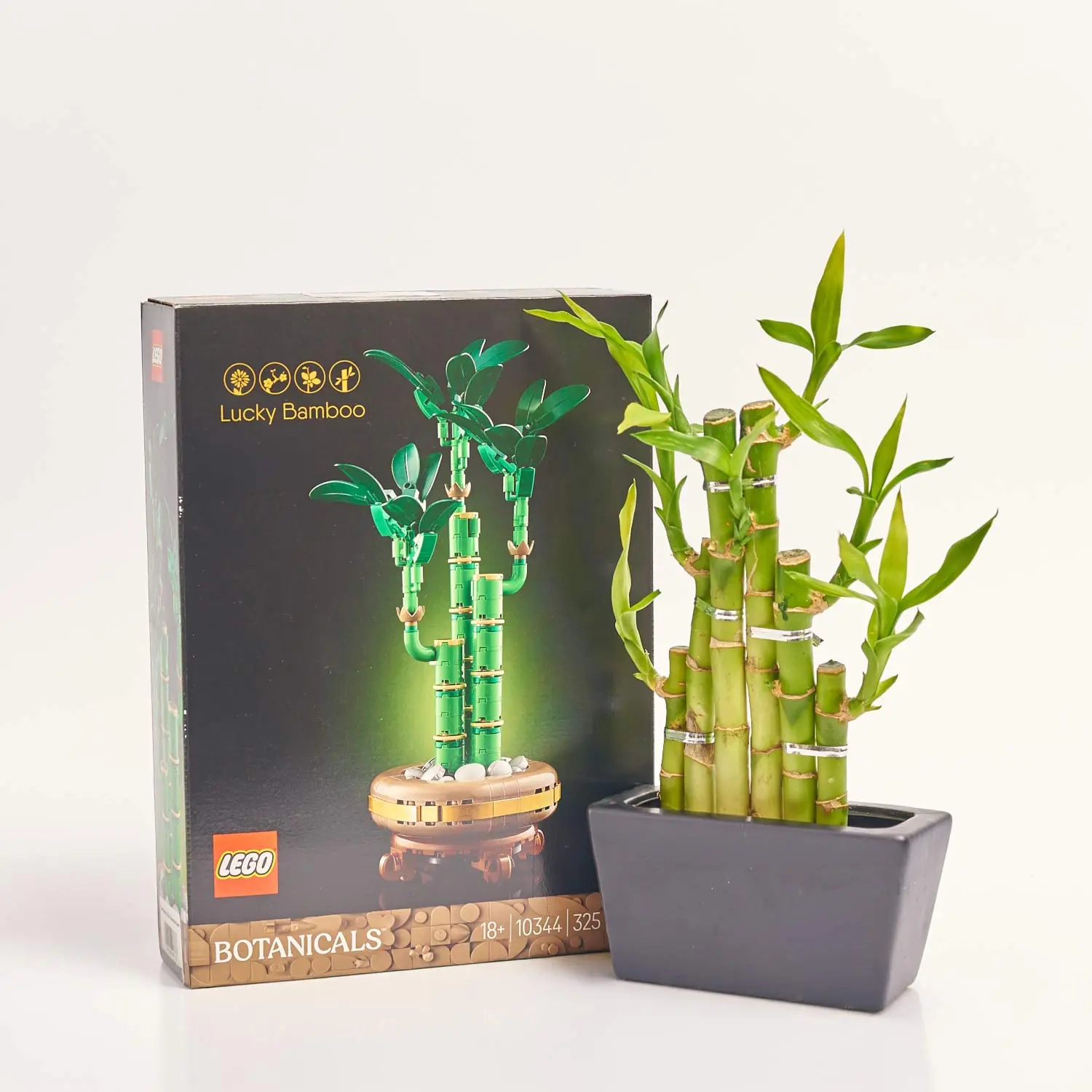 Зображення товару Сет LEGO та Бамбук у кашпо, артикул: 60550
