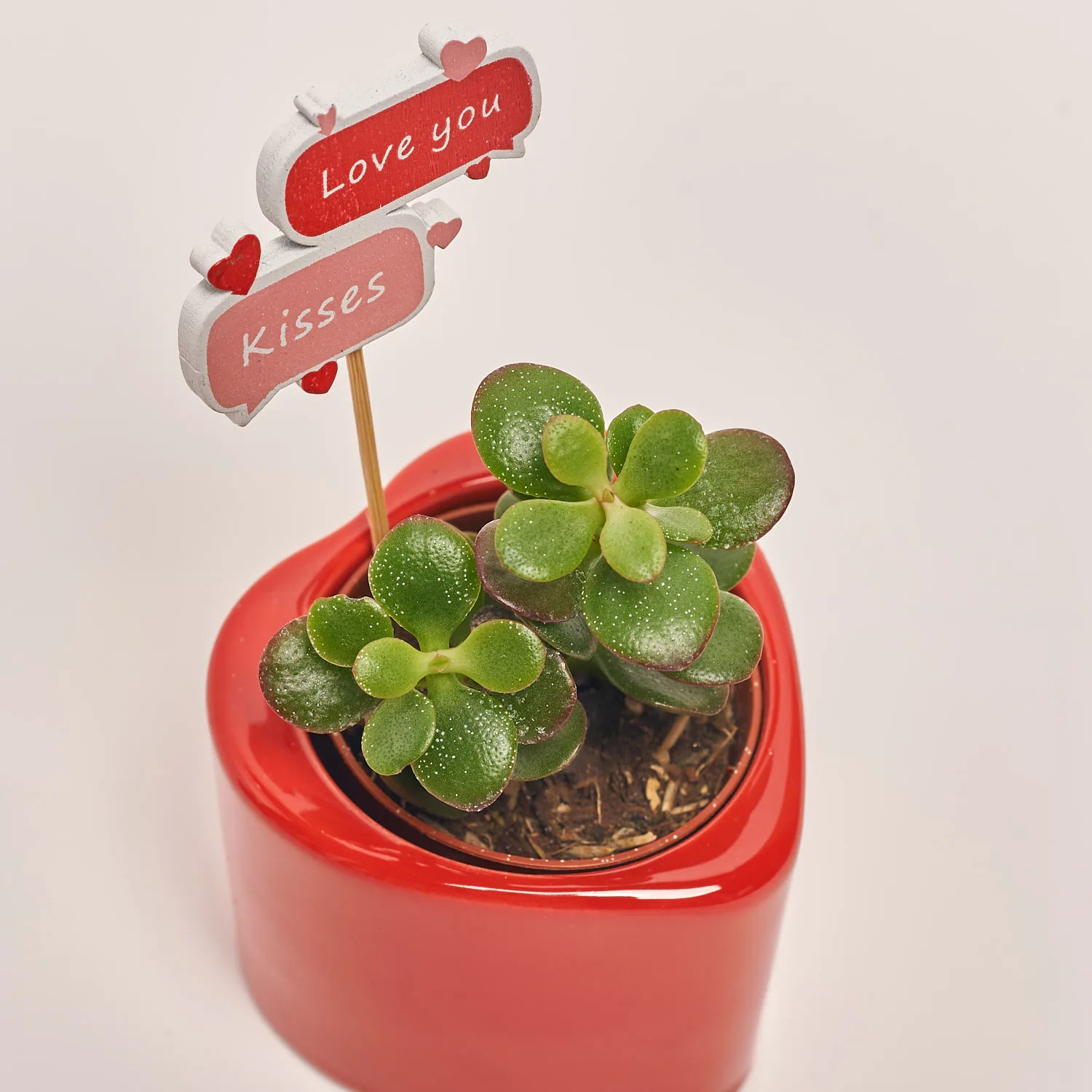 Зображення товару Сукулент мікс "Серце", артикул: 55439