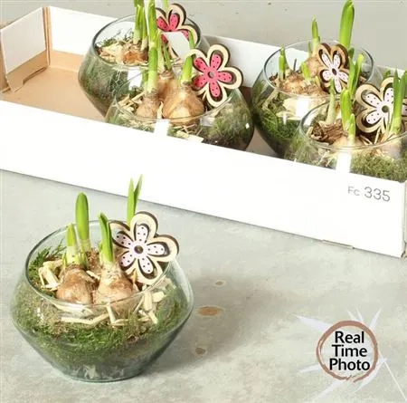 Зображення товару Композиція Нарцис у склі, артикул: 54986