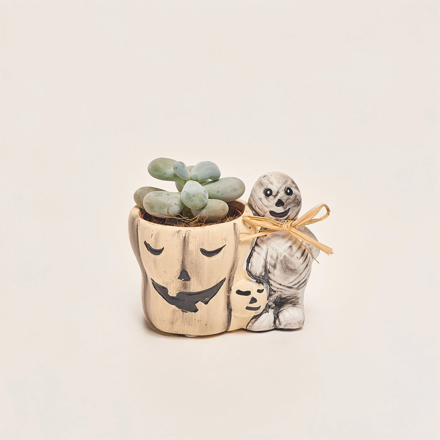 Зображення товару Сукулент мікс "Хелловін", артикул: 52536