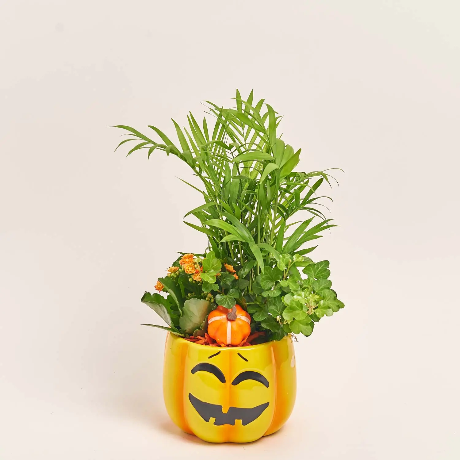 Композиція "Гарбузики" в кер., артикул: 41578 Зображення товару Композиція "Гарбузики" в кер., артикул: 41578