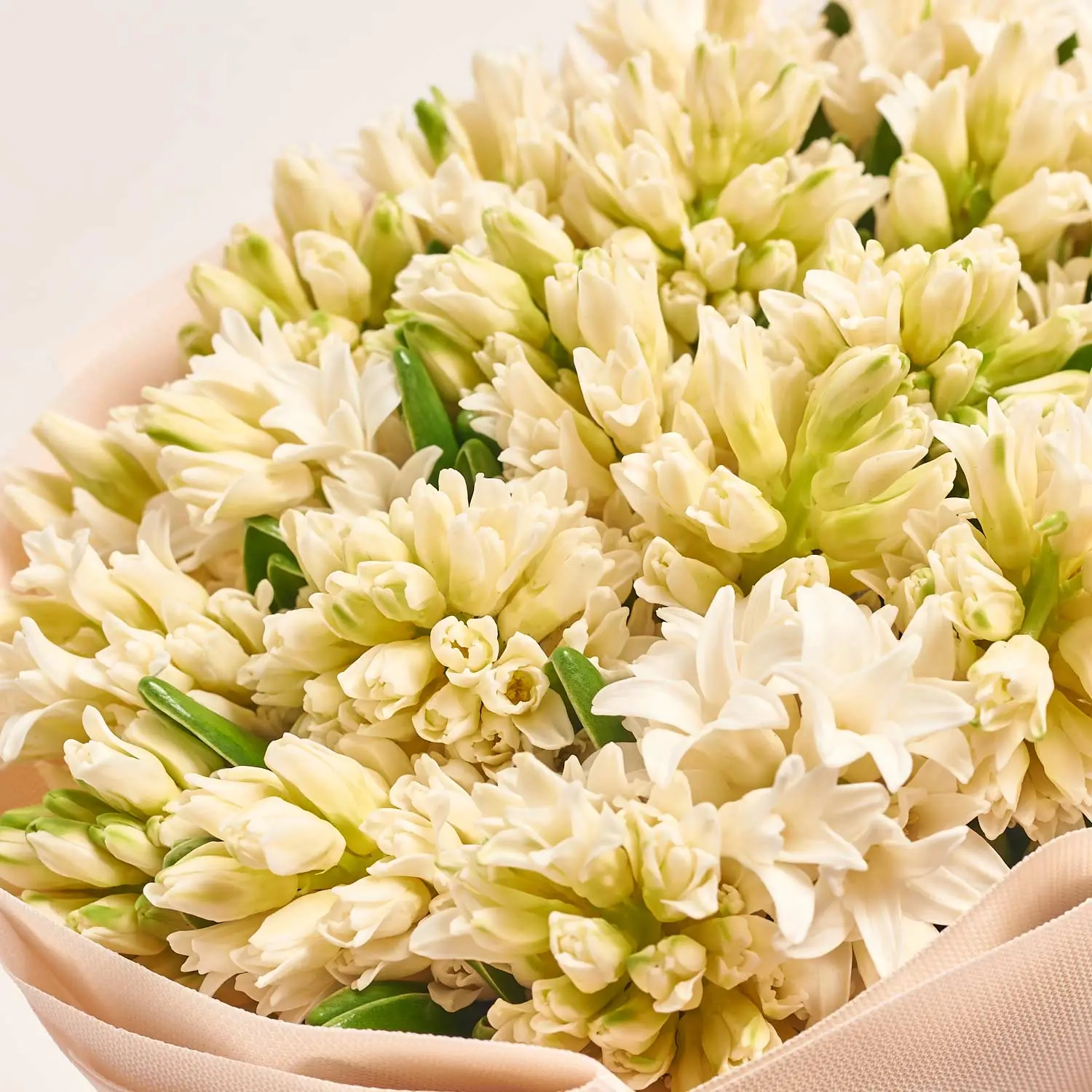 Зображення товару Букет 25 Білих Гіацинтів F526, артикул: 56579