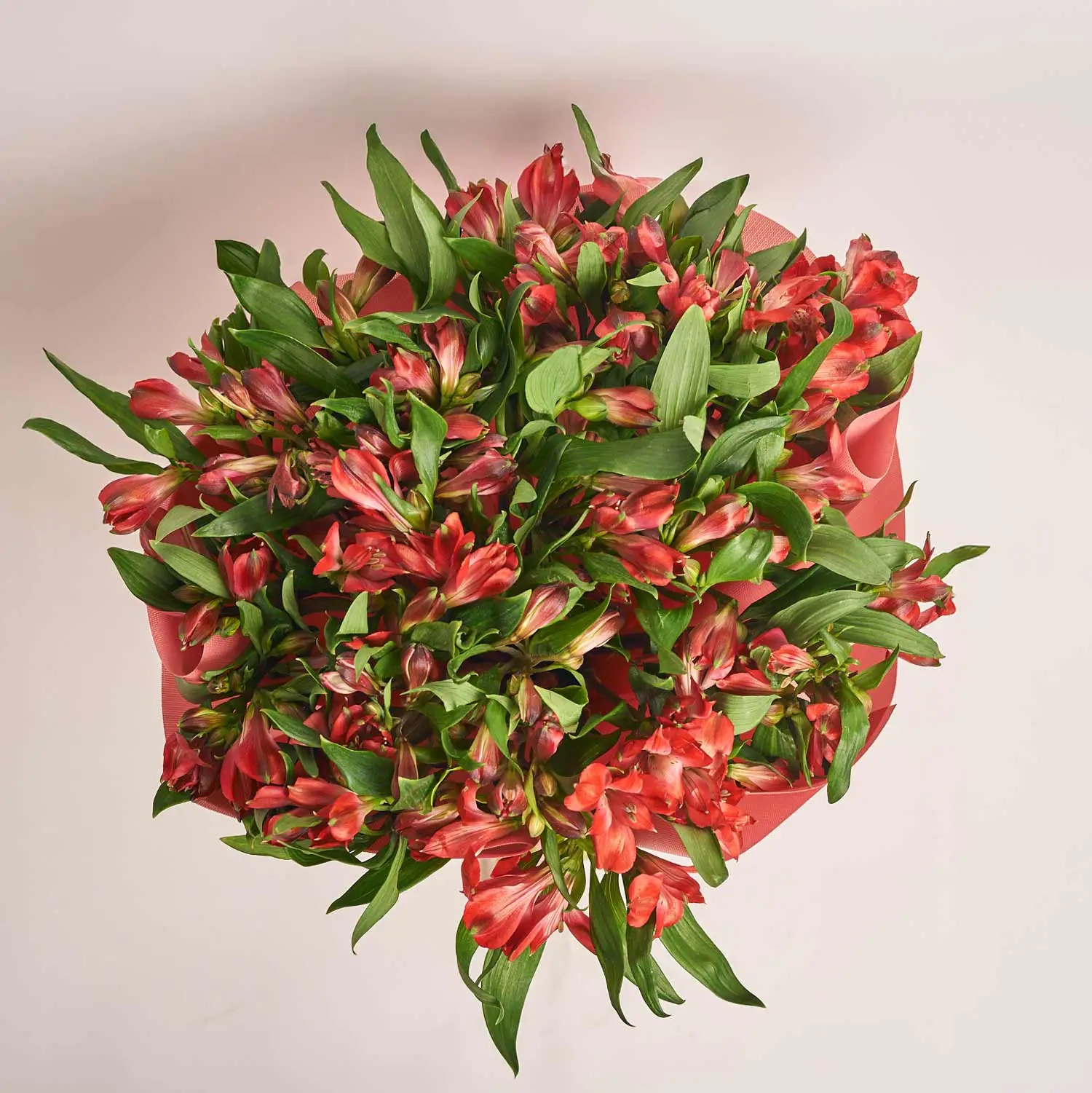 Зображення товару Букет 25 Червоних Альстромерій F632, артикул: 44694