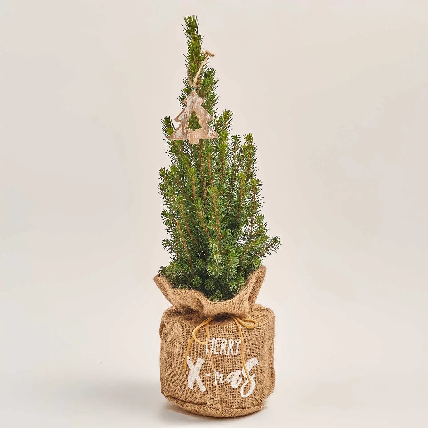 Ялина Перфекта декор у мішку, артикул: 54322 Зображення товару Ялина Перфекта декор у мішку, артикул: 54322