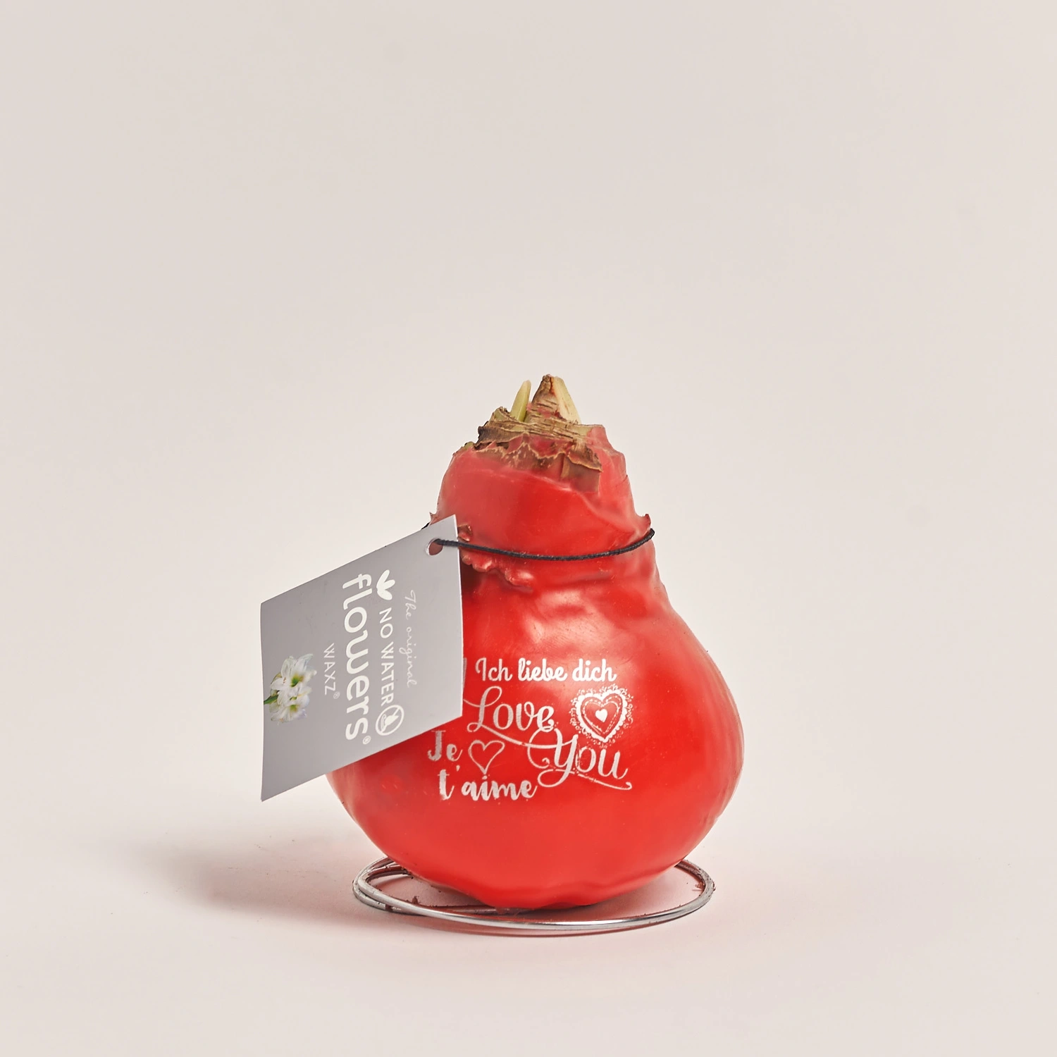 Зображення товару Амариліс "Месседж Принт", артикул: 55444