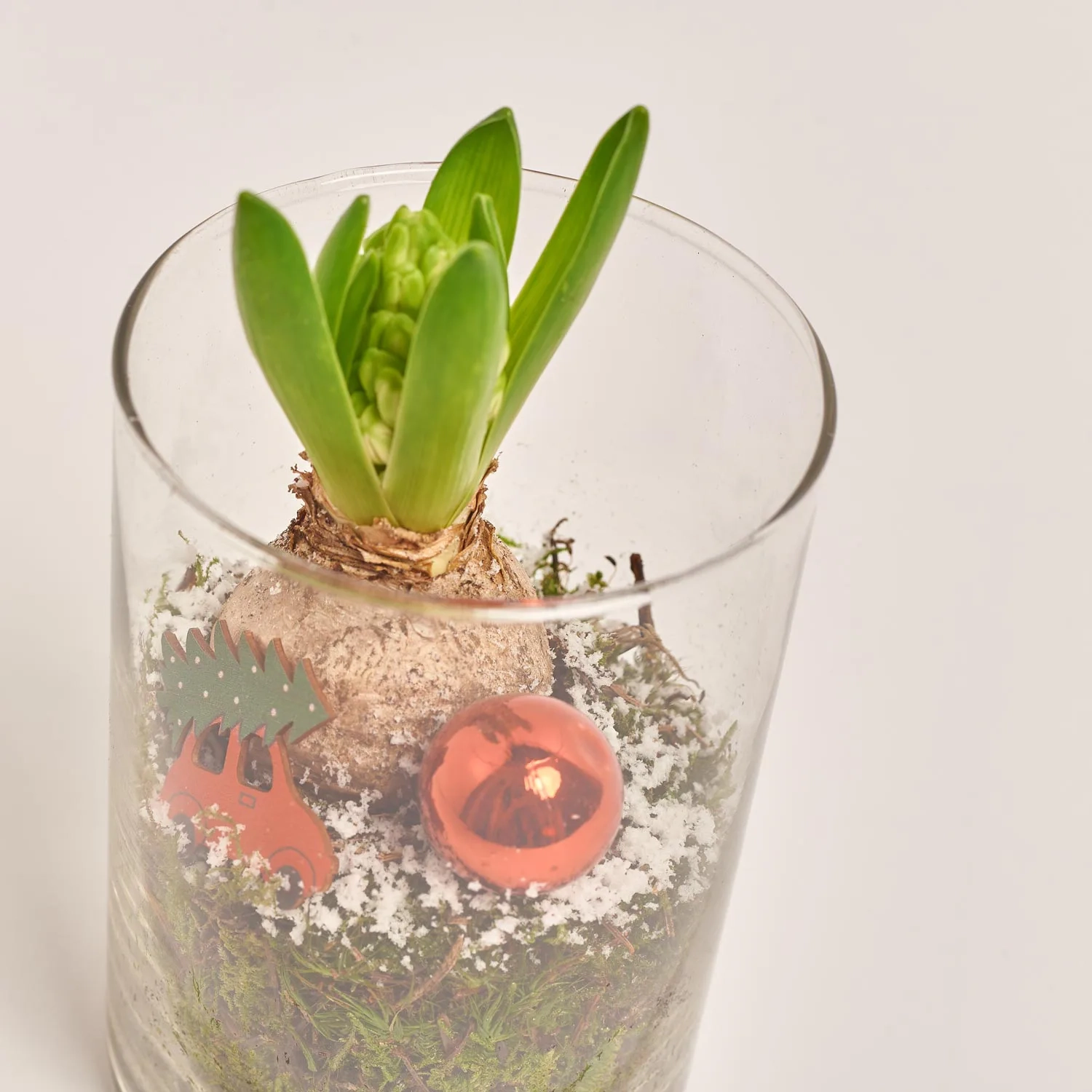 Зображення товару Композиція Гіацинт у склі, артикул: 54502