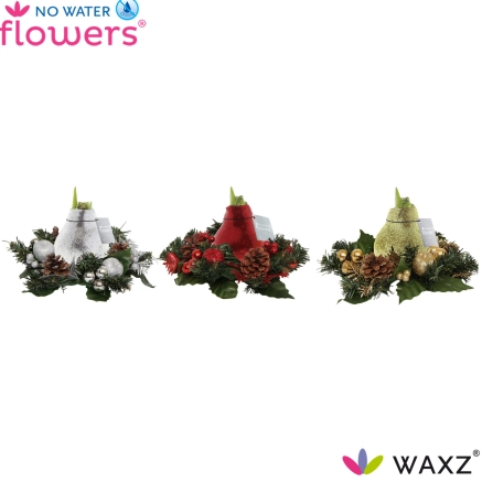 Амариліс "Крісмас" декор у воску, артикул: 54184 Зображення товару Амариліс "Крісмас" декор у воску, артикул: 54184