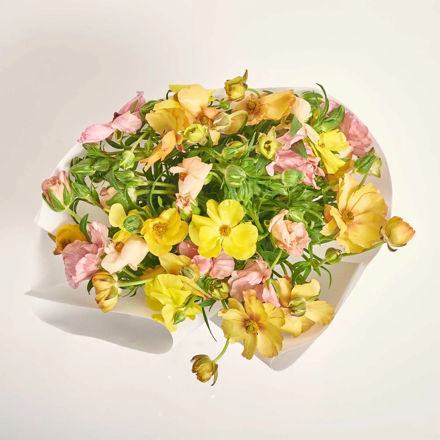 Зображення товару Букет 25 Ранункулюсів Батерфляй Мікс F687, артикул: 57557