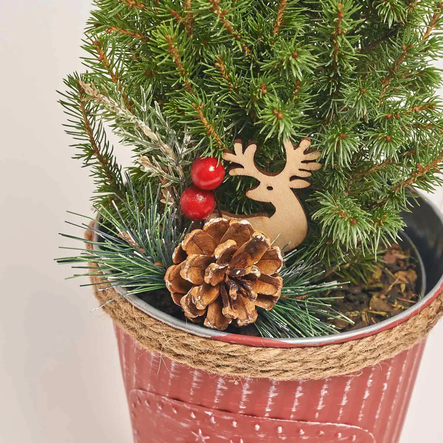 Ялина Перфекта декор в цинк. горщ., артикул: 54153 Зображення товару Ялина Перфекта декор в цинк. горщ., артикул: 54153