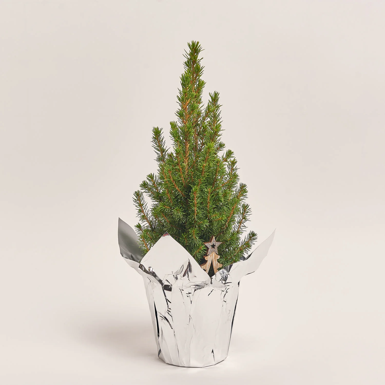 Зображення товару Ялина Перфекта декор, артикул: 31562
