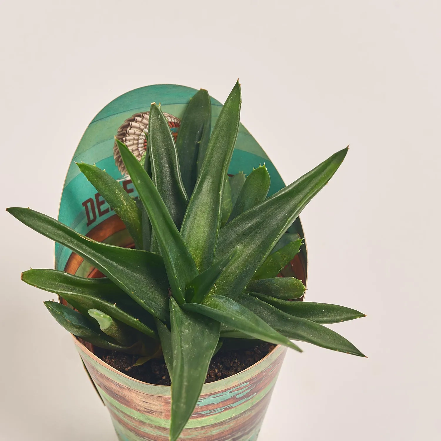 Зображення товару Алоє мікс, артикул: 46641