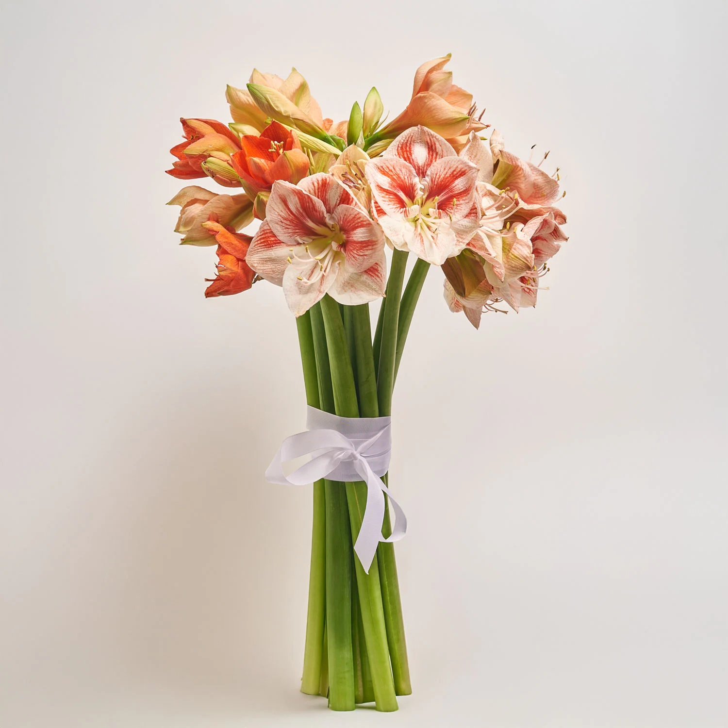 Букет 11 Амарилісів Мікс F564, артикул: 53614 Зображення товару Букет 11 Амарилісів Мікс F564, артикул: 53614